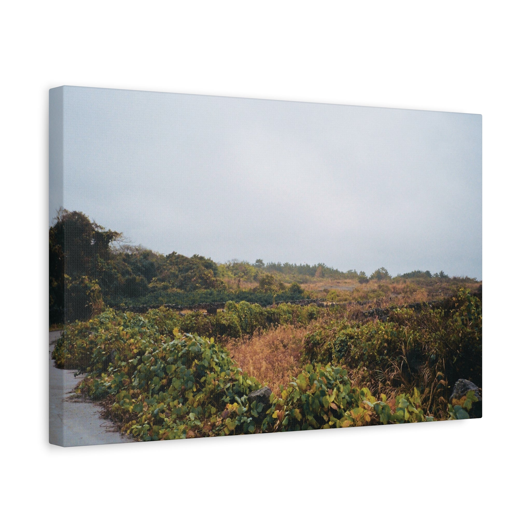 Jeju Rainy Countryside Path Canvas Print — Matte Stretched Wall Art