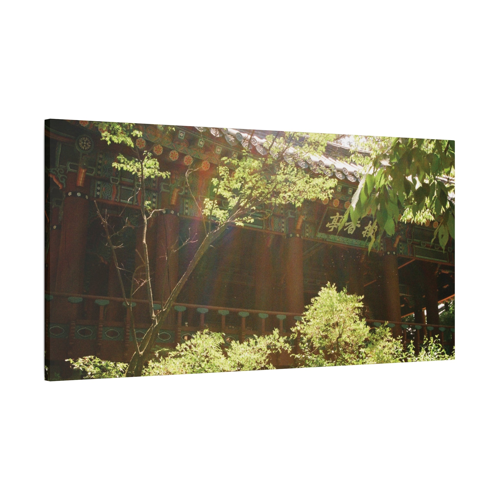 Korean Hanok Spring Sunshine Canvas Print
