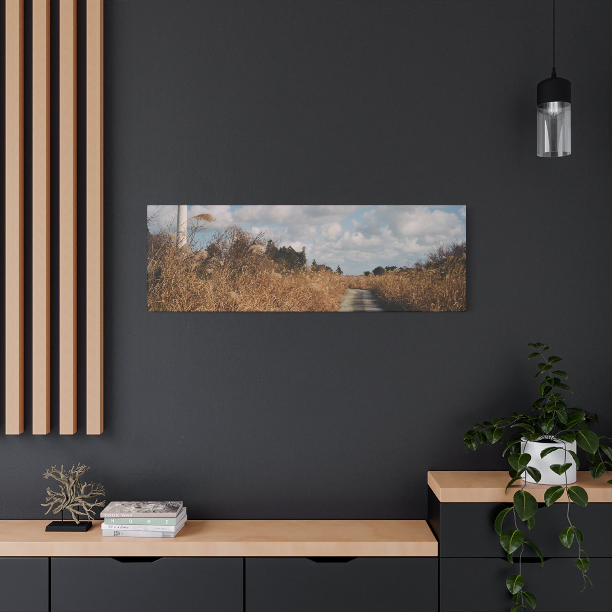 Jeju Gotjawal Winter Silver Grass Canvas Print