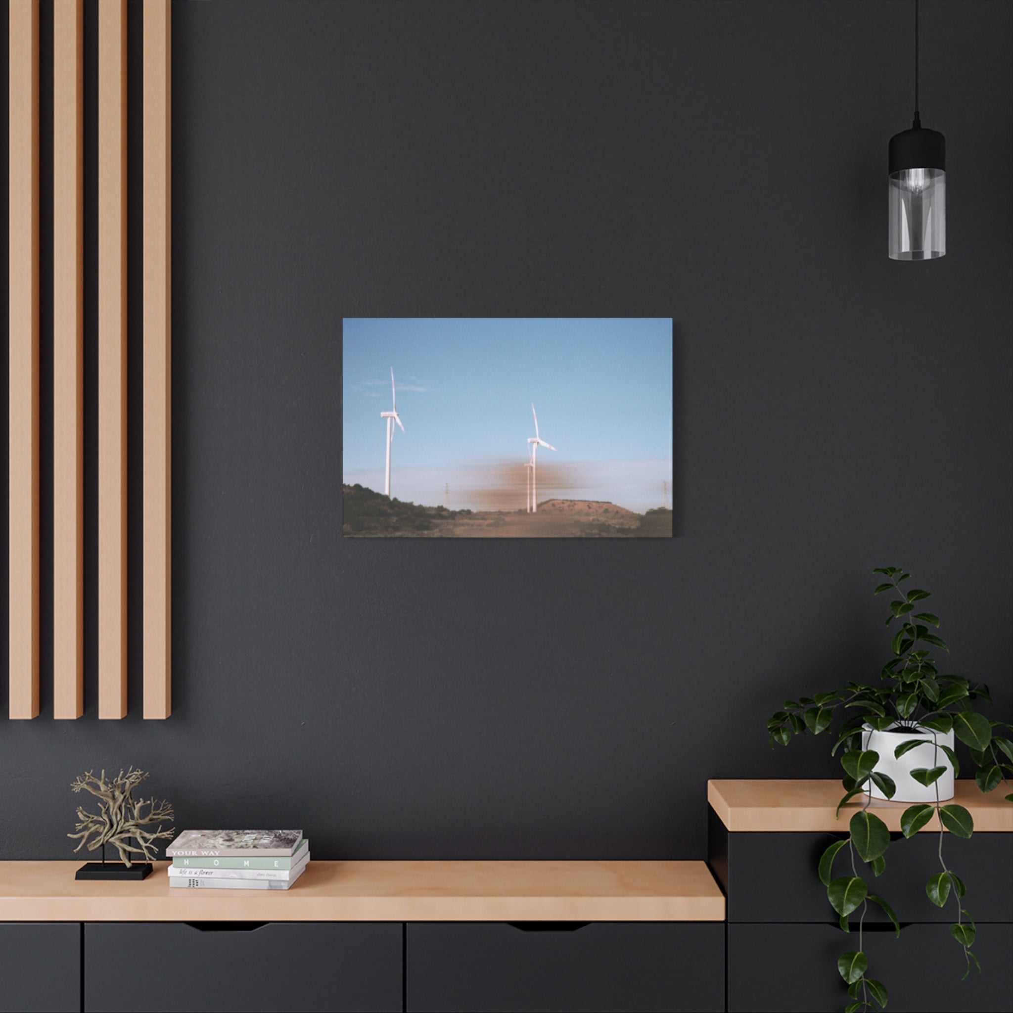 Jeju Winter Silver Grass Canvas Print