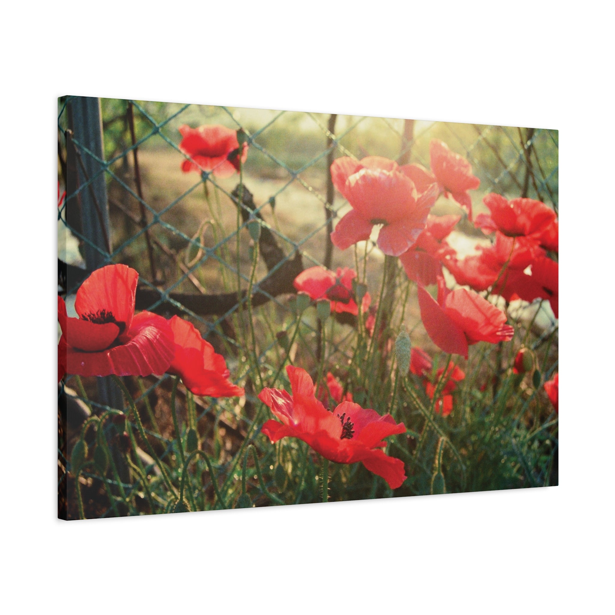 Wonju Red Flower Roadside Canvas Print — Summer Countryside Wall Art