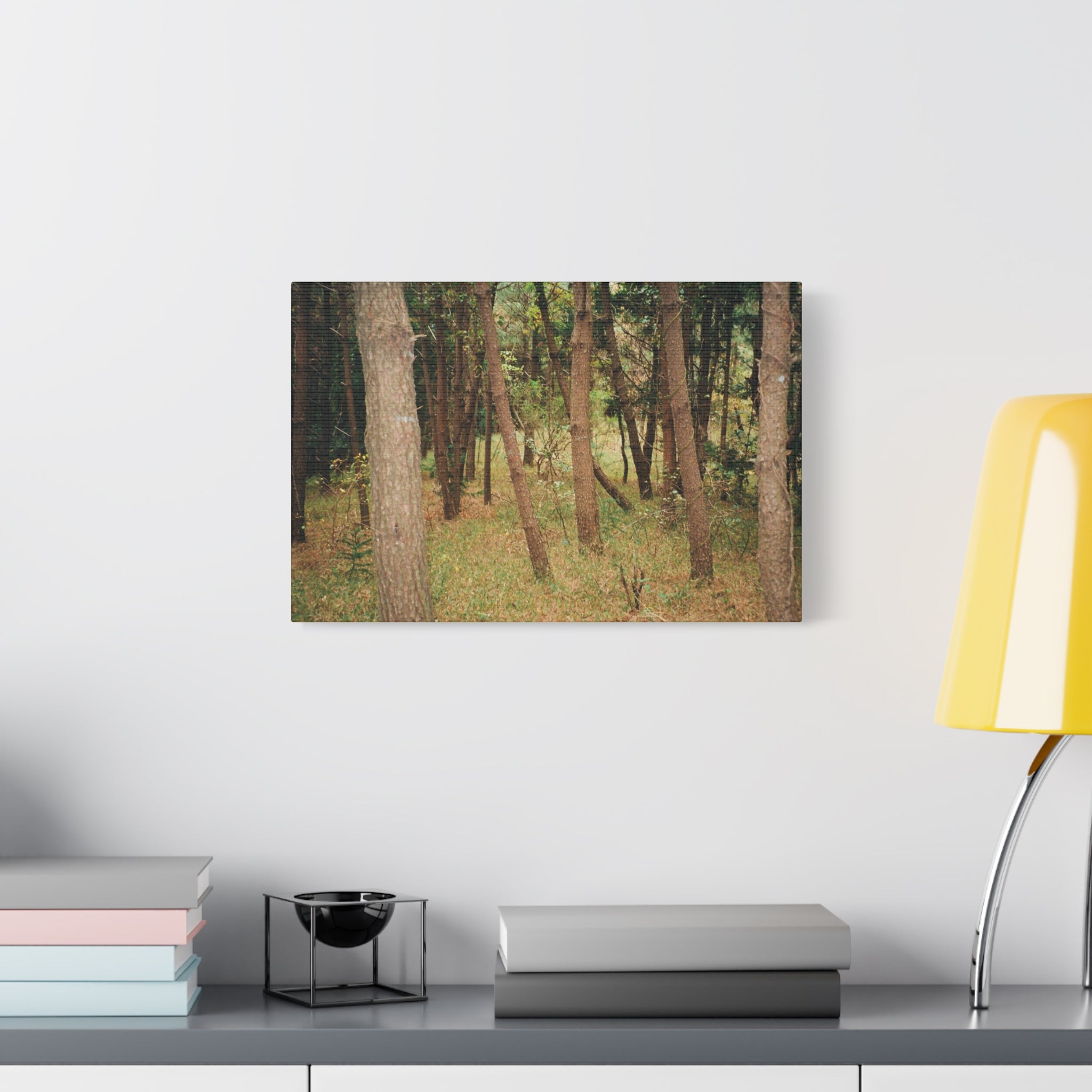 Jeju Gungdae Oreum Forest Canvas Print