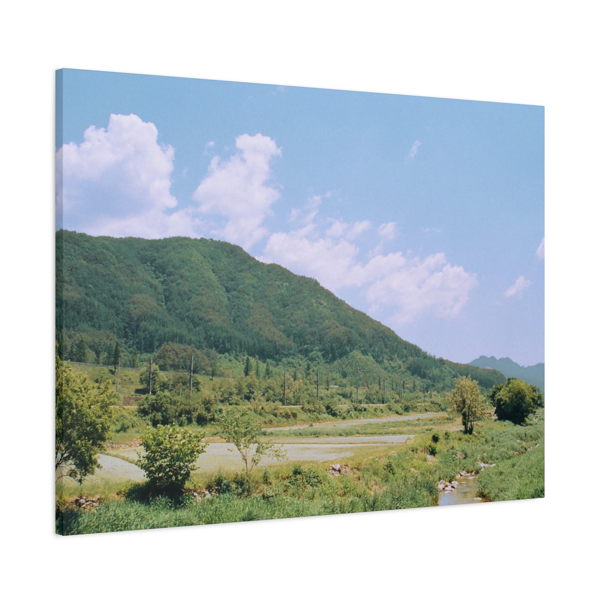 Wonju Spring Stream Pastel Landscape Canvas Print