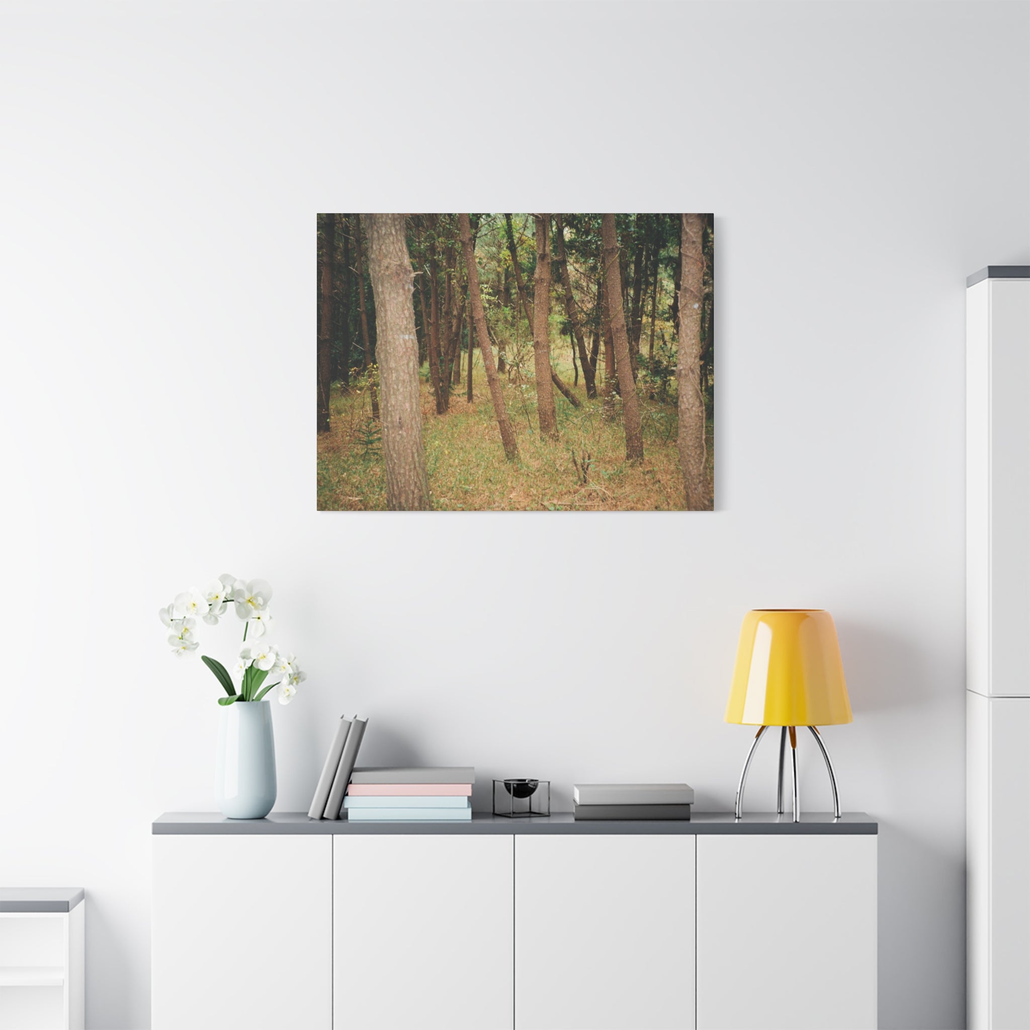 Jeju Gungdae Oreum Forest Canvas Print