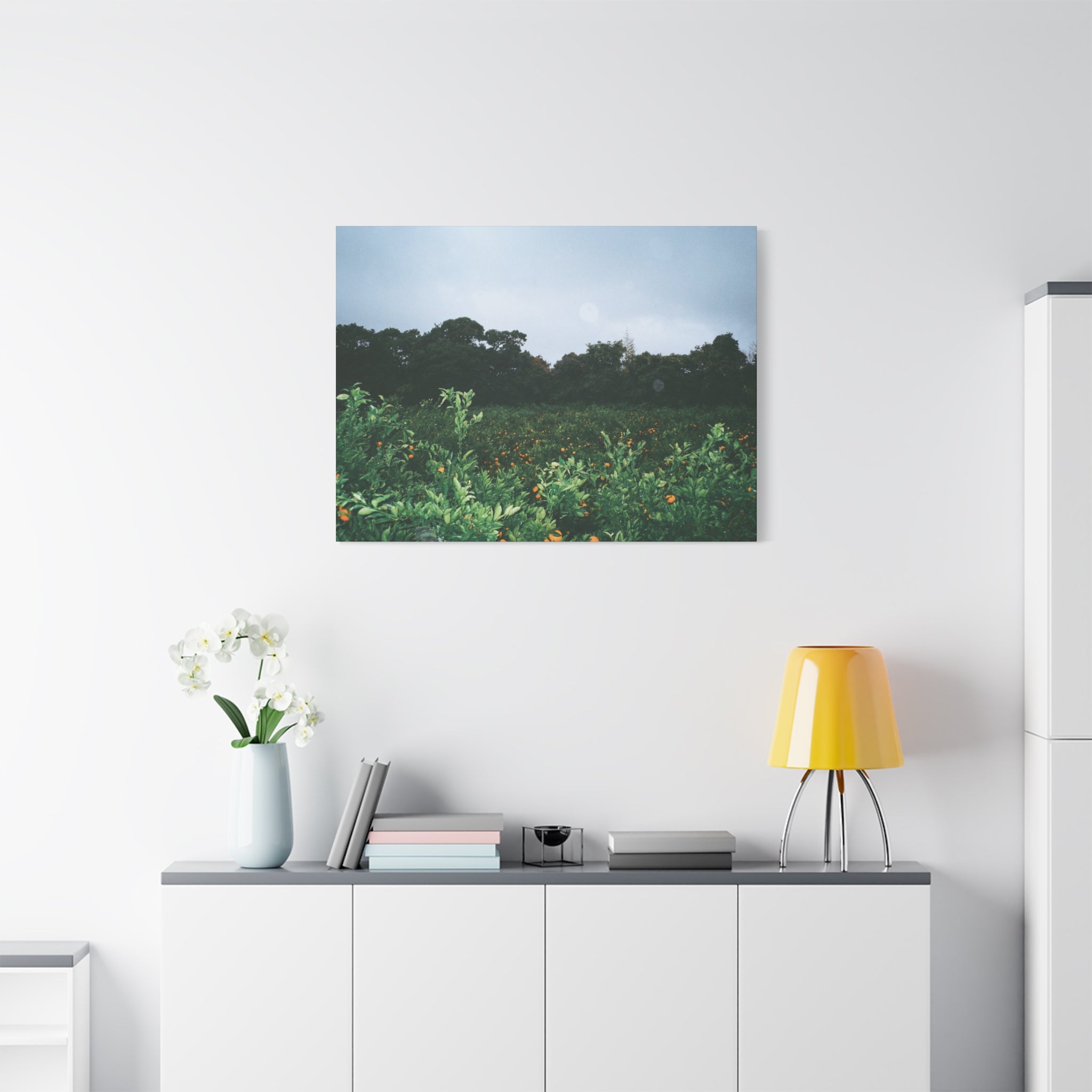 Jeju Winter Snowy Tangerine Orchard Canvas Print