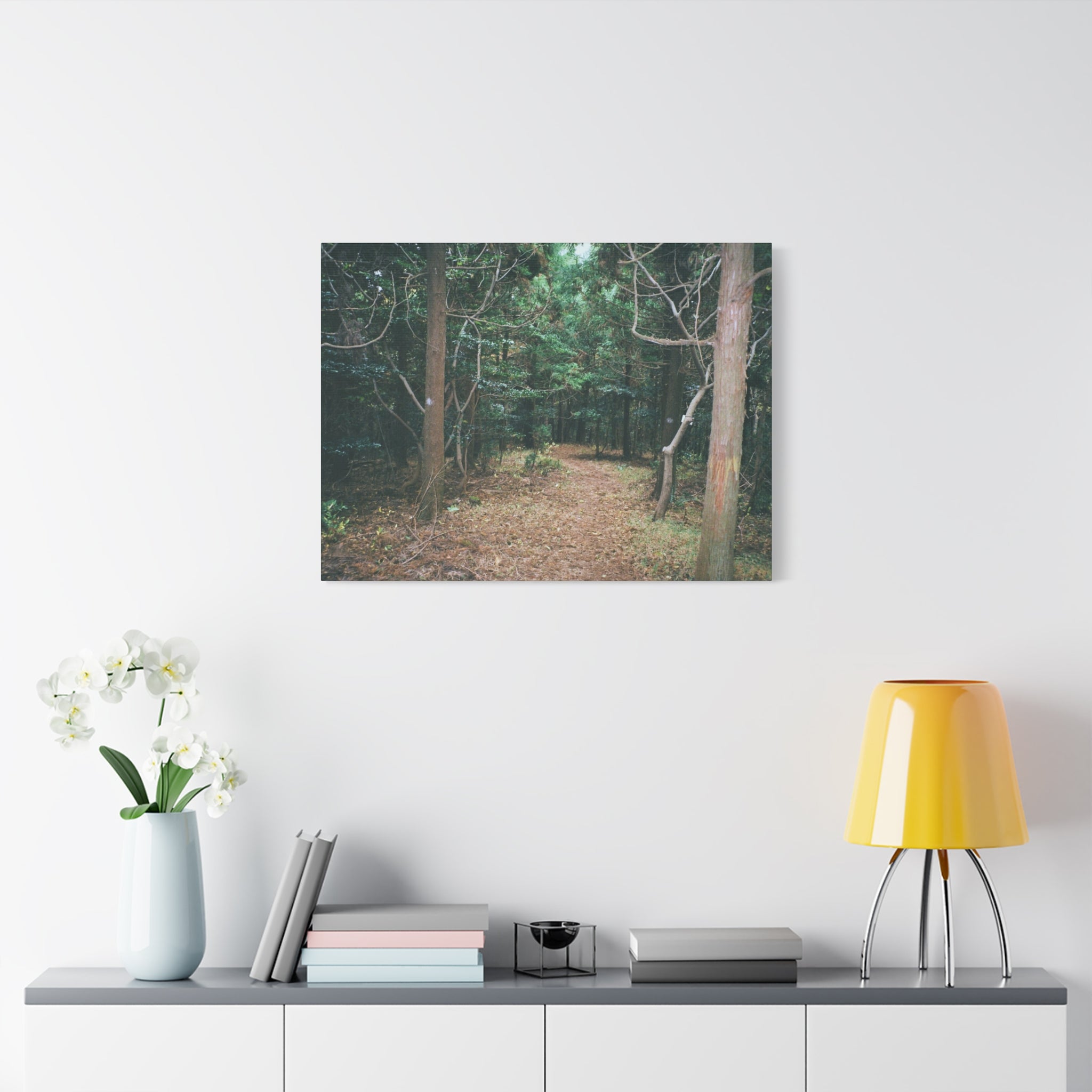 Jeju Winter Oreum Forest Canvas Print