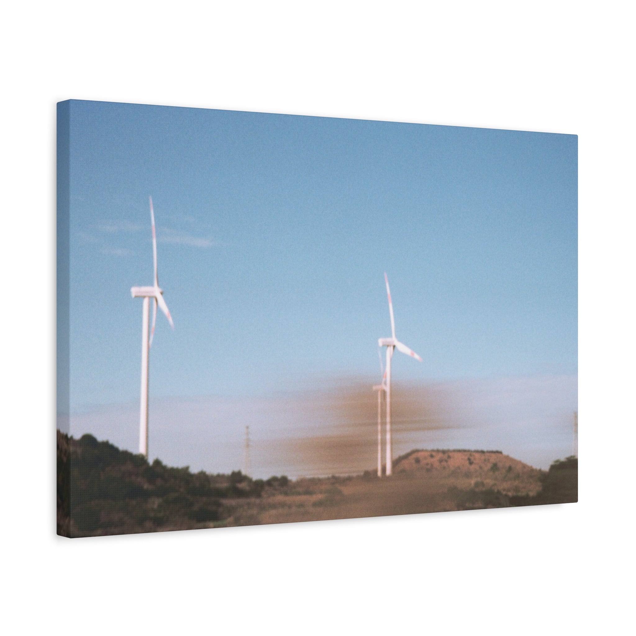 Jeju Winter Silver Grass Canvas Print
