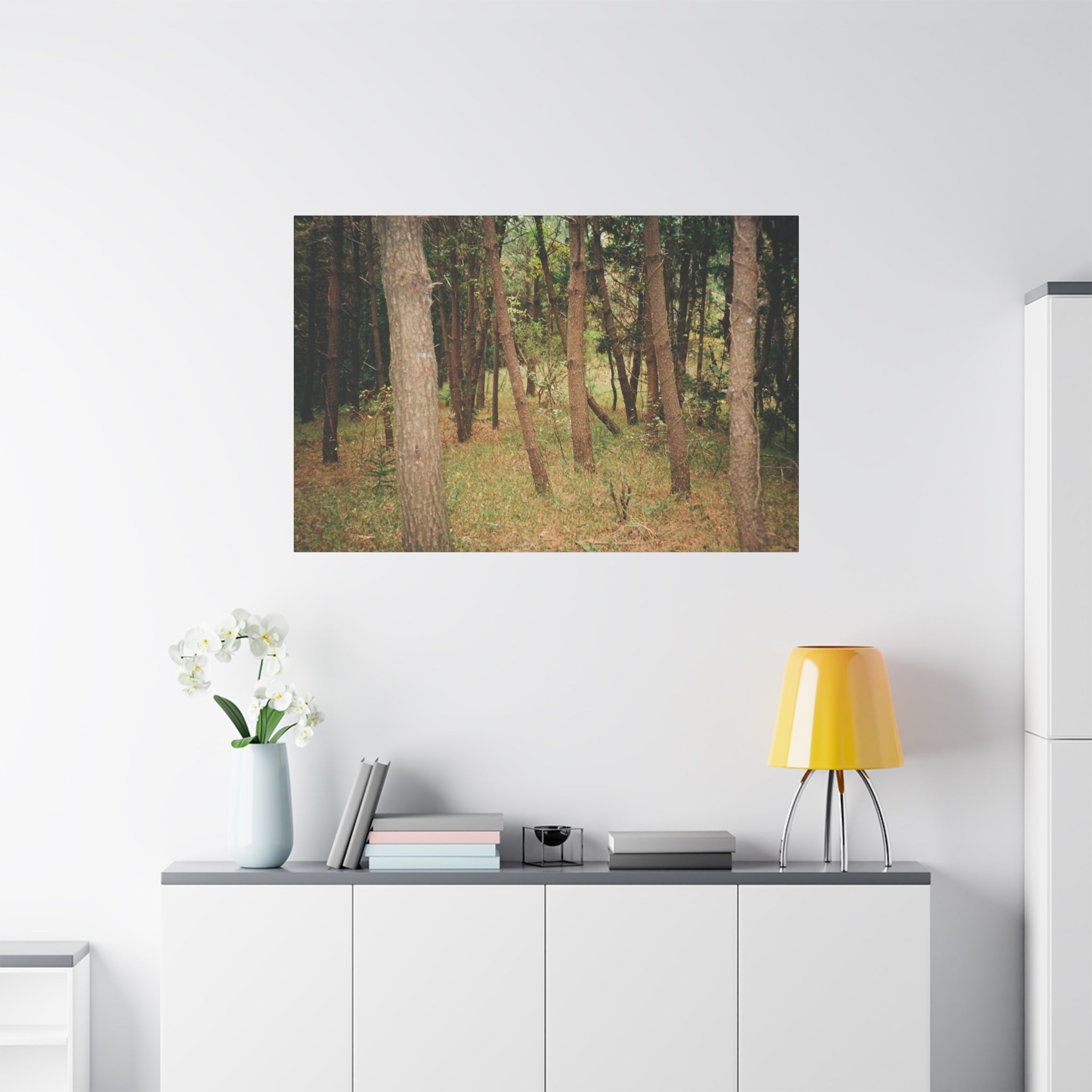 Jeju Gungdae Oreum Forest Canvas Print