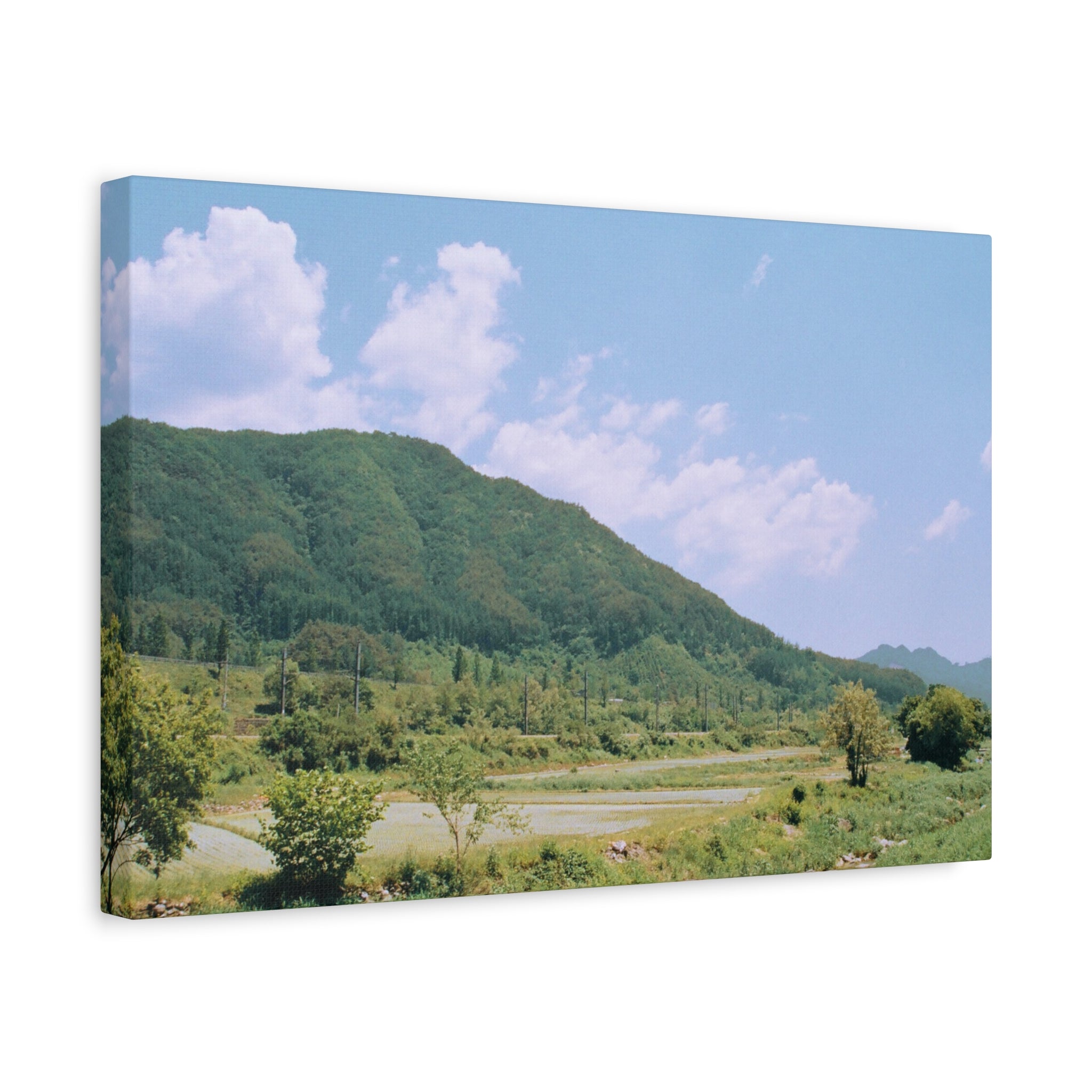 Wonju Spring Stream Pastel Landscape Canvas Print
