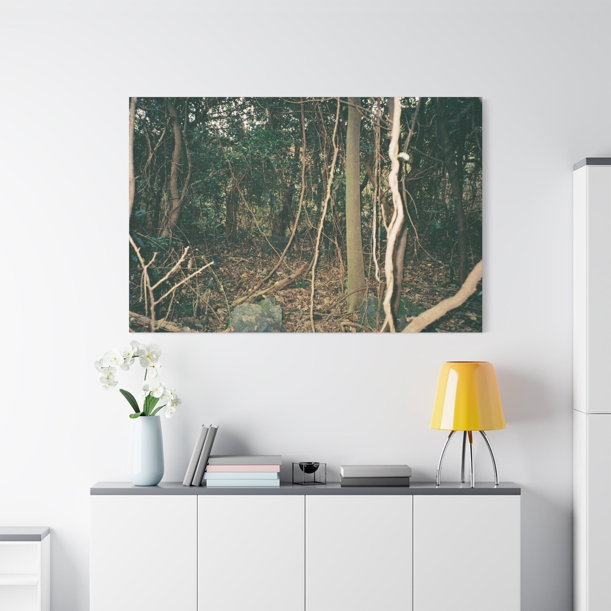 Jeju Gotjawal Forest Canvas Print