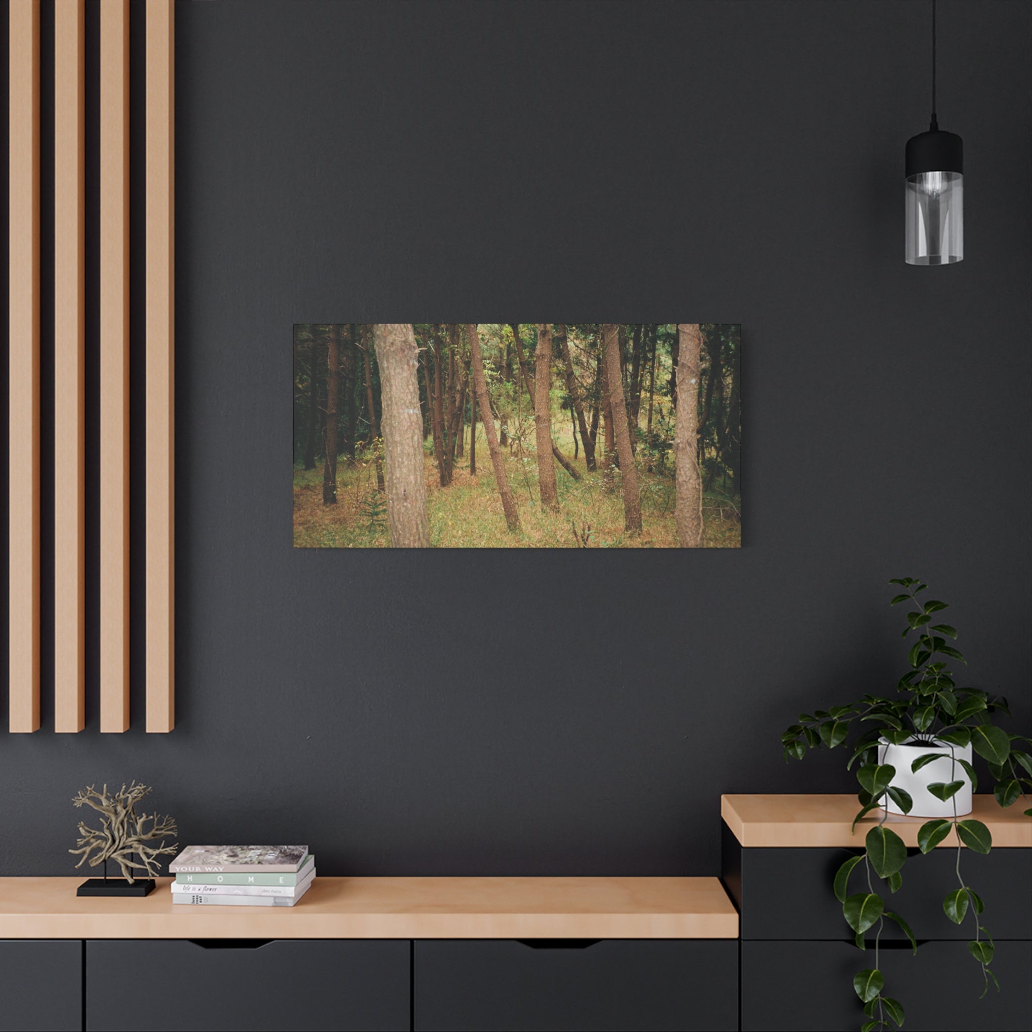 Jeju Gungdae Oreum Forest Canvas Print