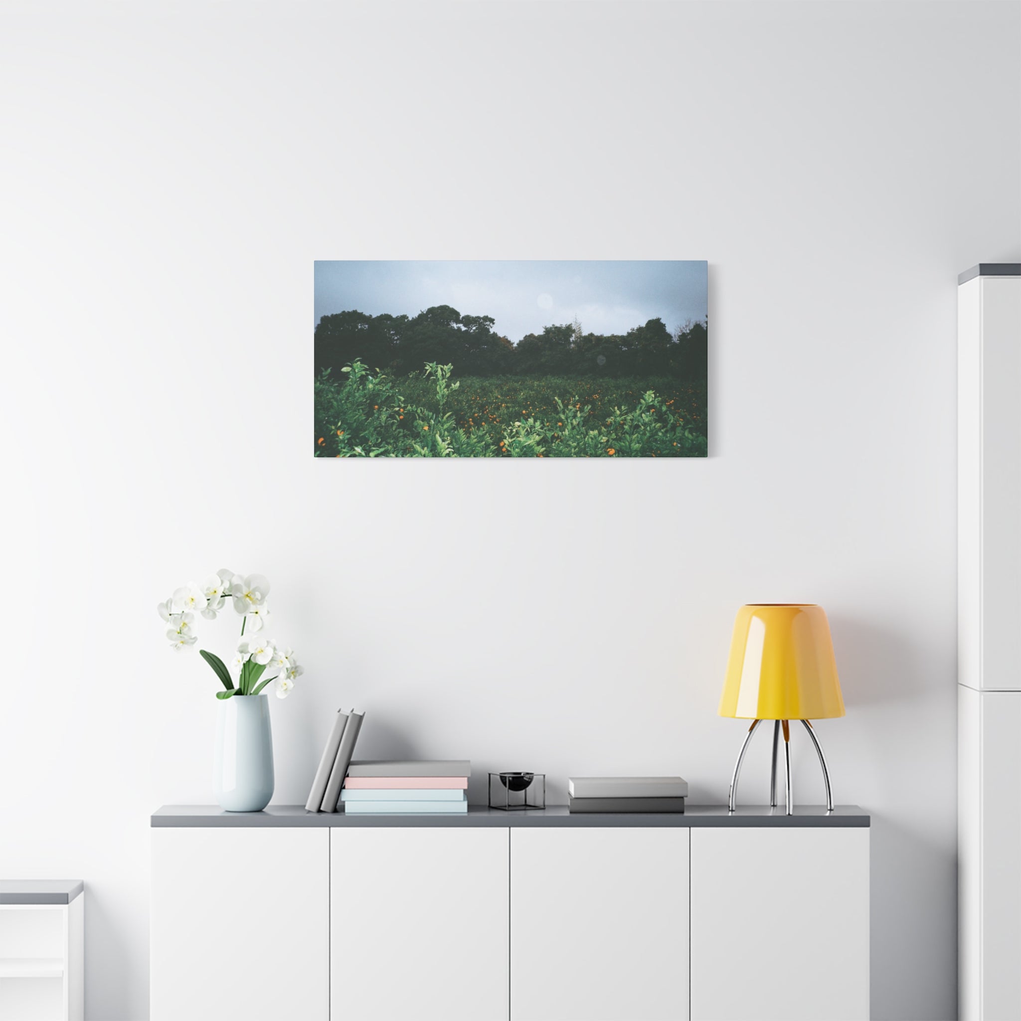 Jeju Winter Snowy Tangerine Orchard Canvas Print