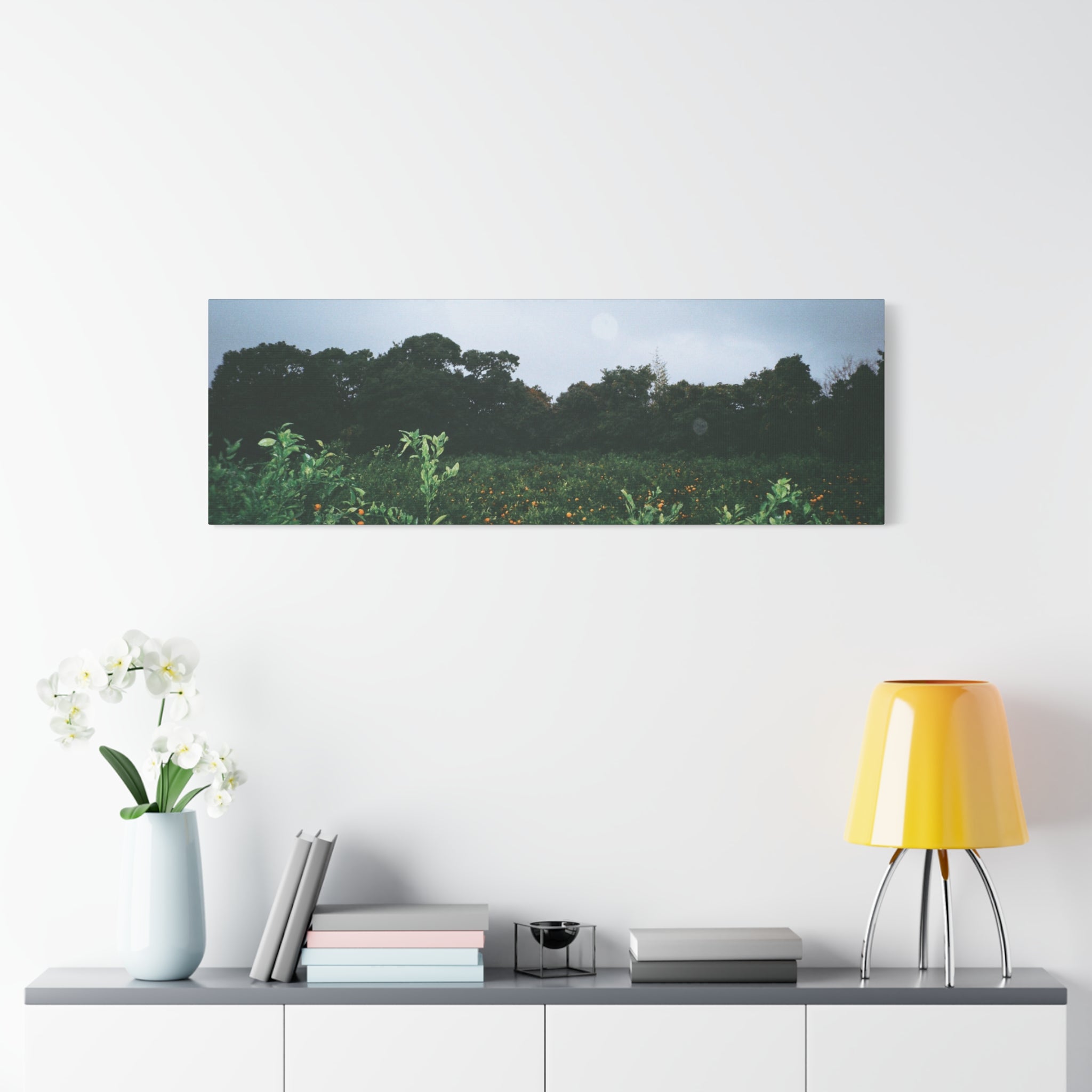 Jeju Winter Snowy Tangerine Orchard Canvas Print