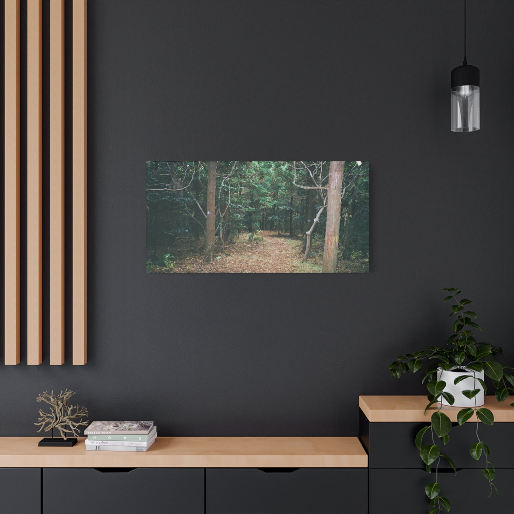 Jeju Winter Oreum Forest Canvas Print