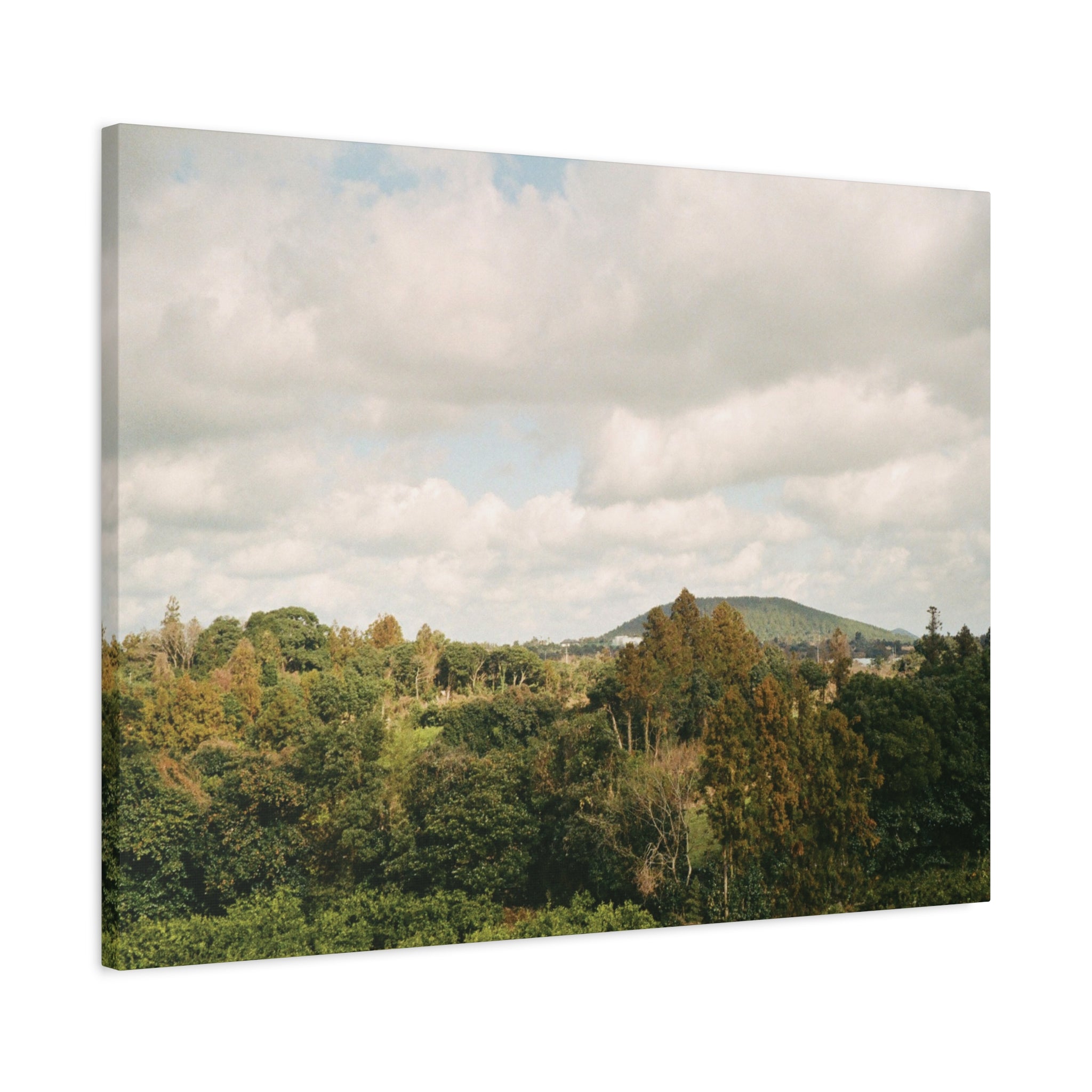 Jeju Wind-Swept Oreum and Clouds Canvas Print