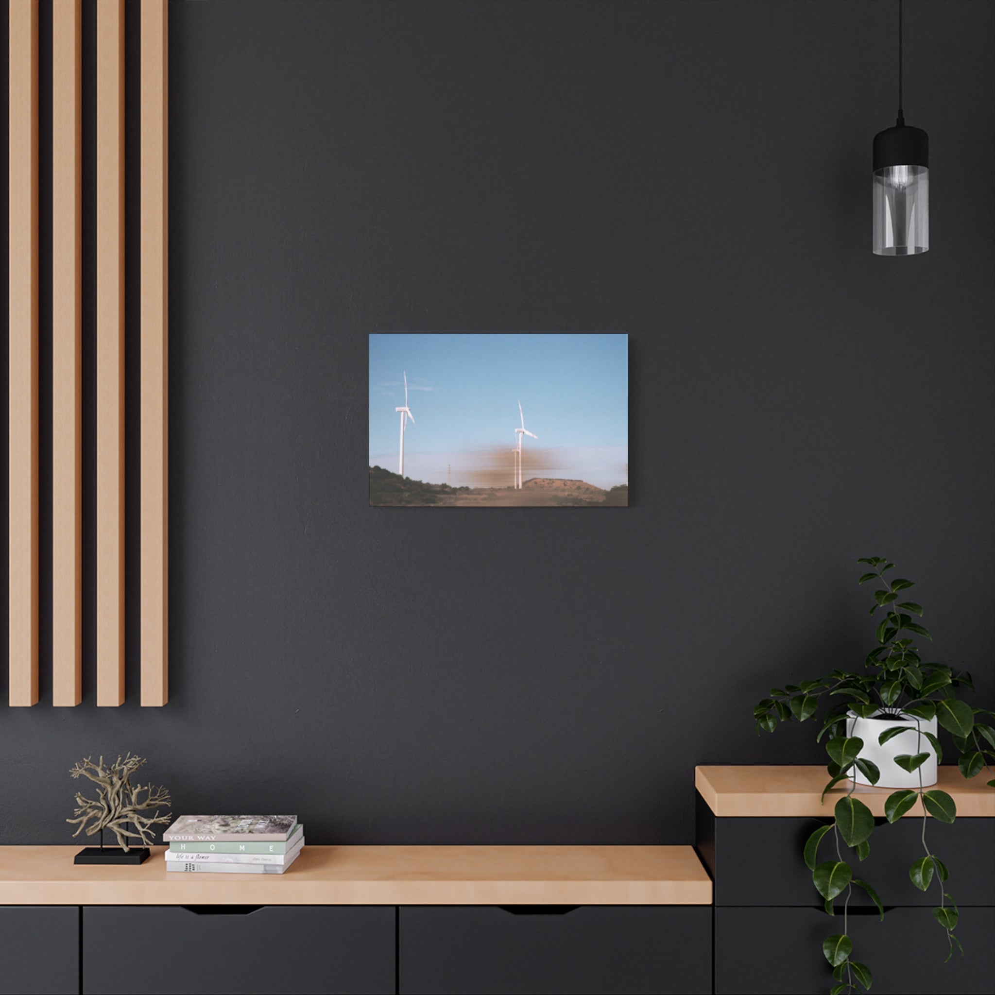 Jeju Winter Silver Grass Canvas Print
