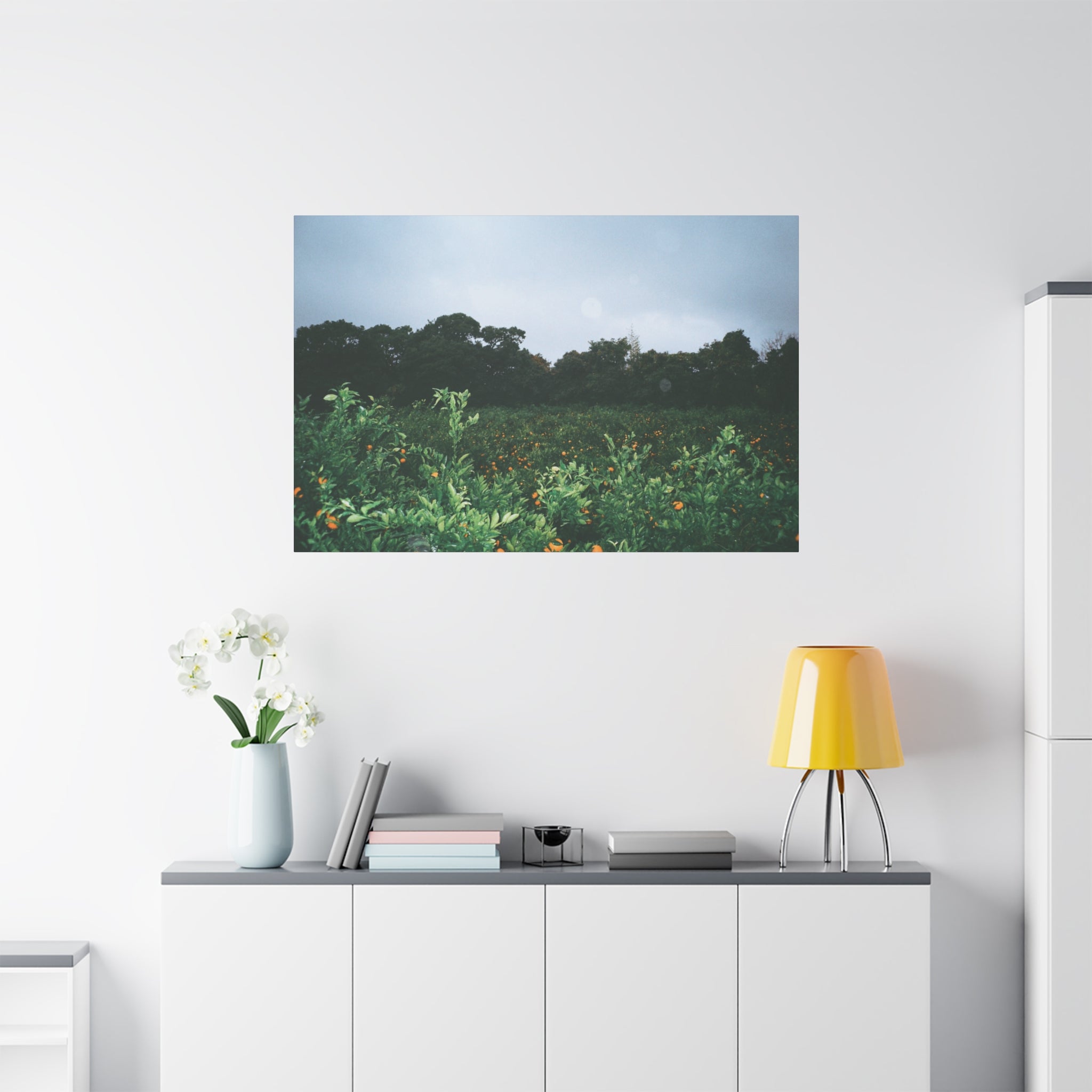 Jeju Winter Snowy Tangerine Orchard Canvas Print