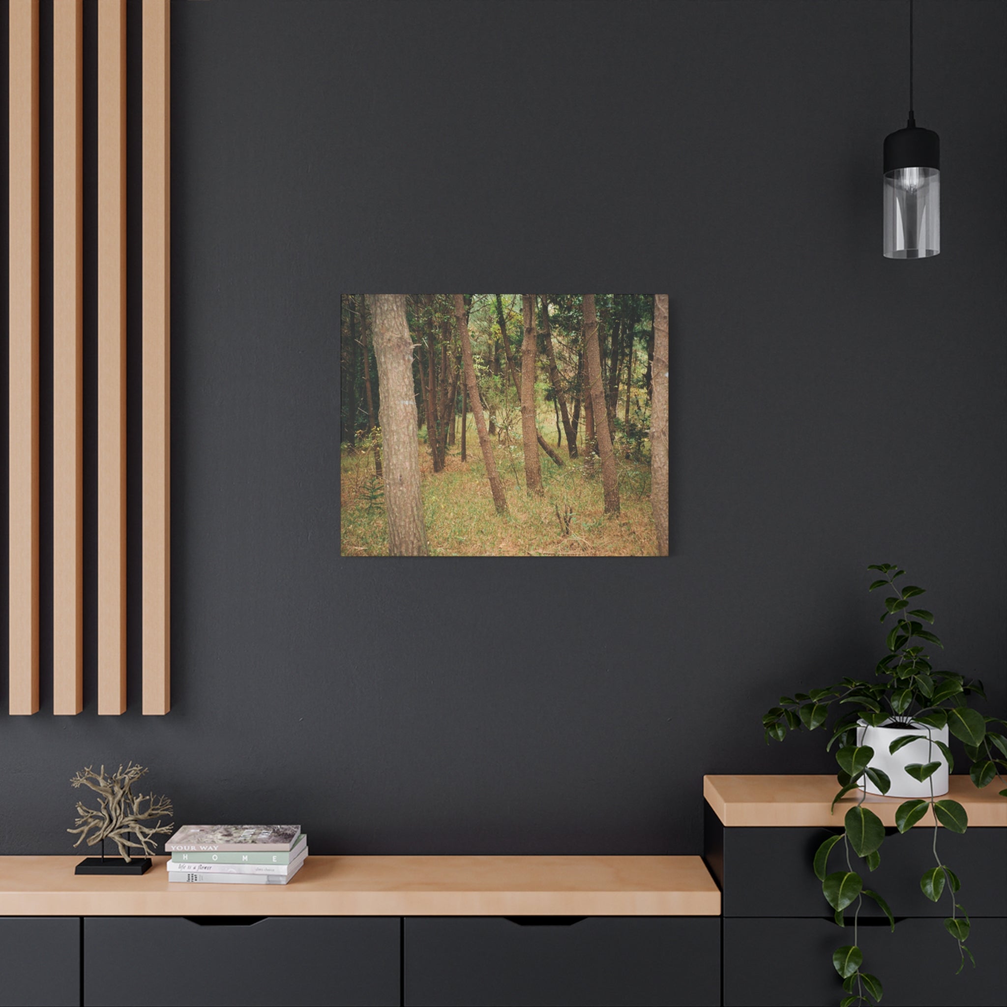 Jeju Gungdae Oreum Forest Canvas Print