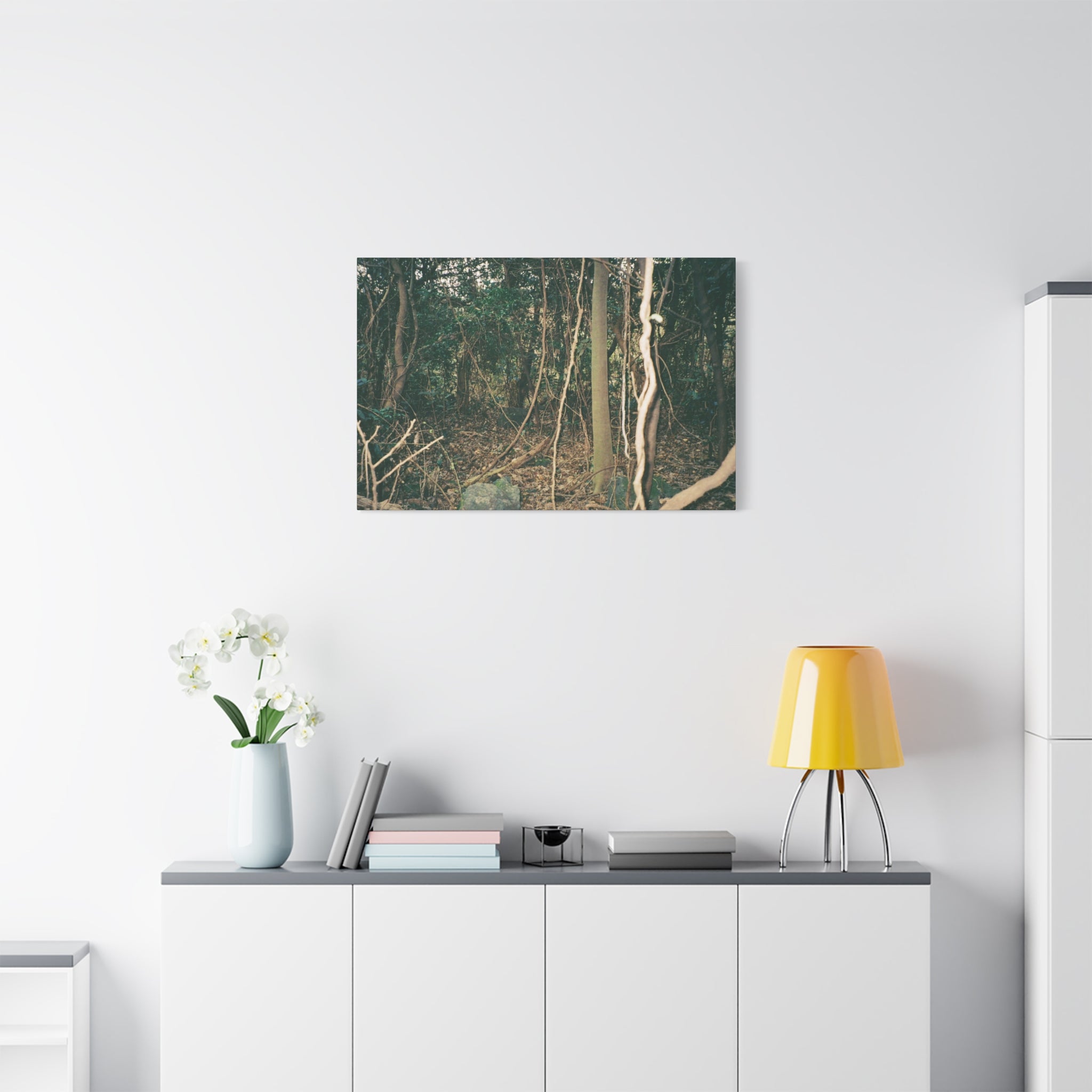 Jeju Gotjawal Forest Canvas Print