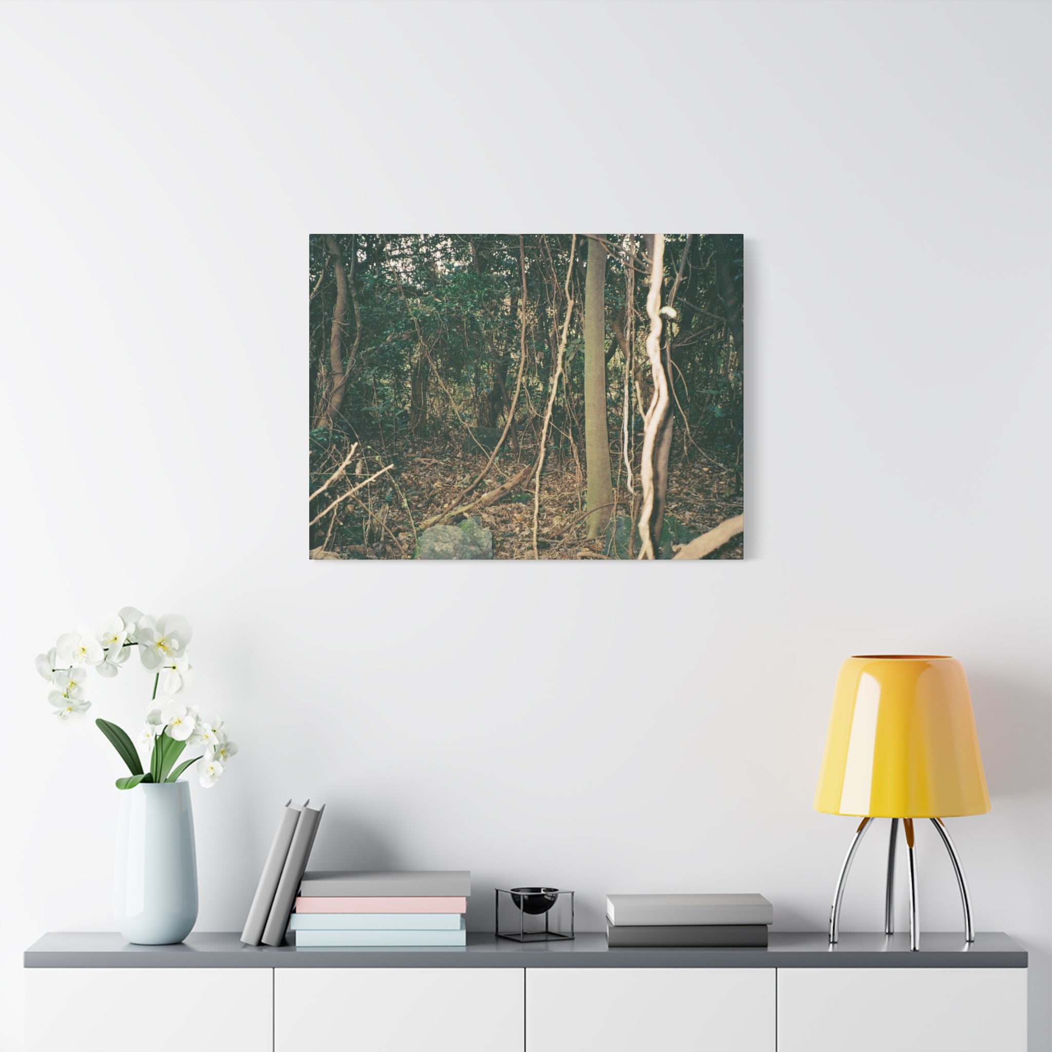 Jeju Gotjawal Forest Canvas Print