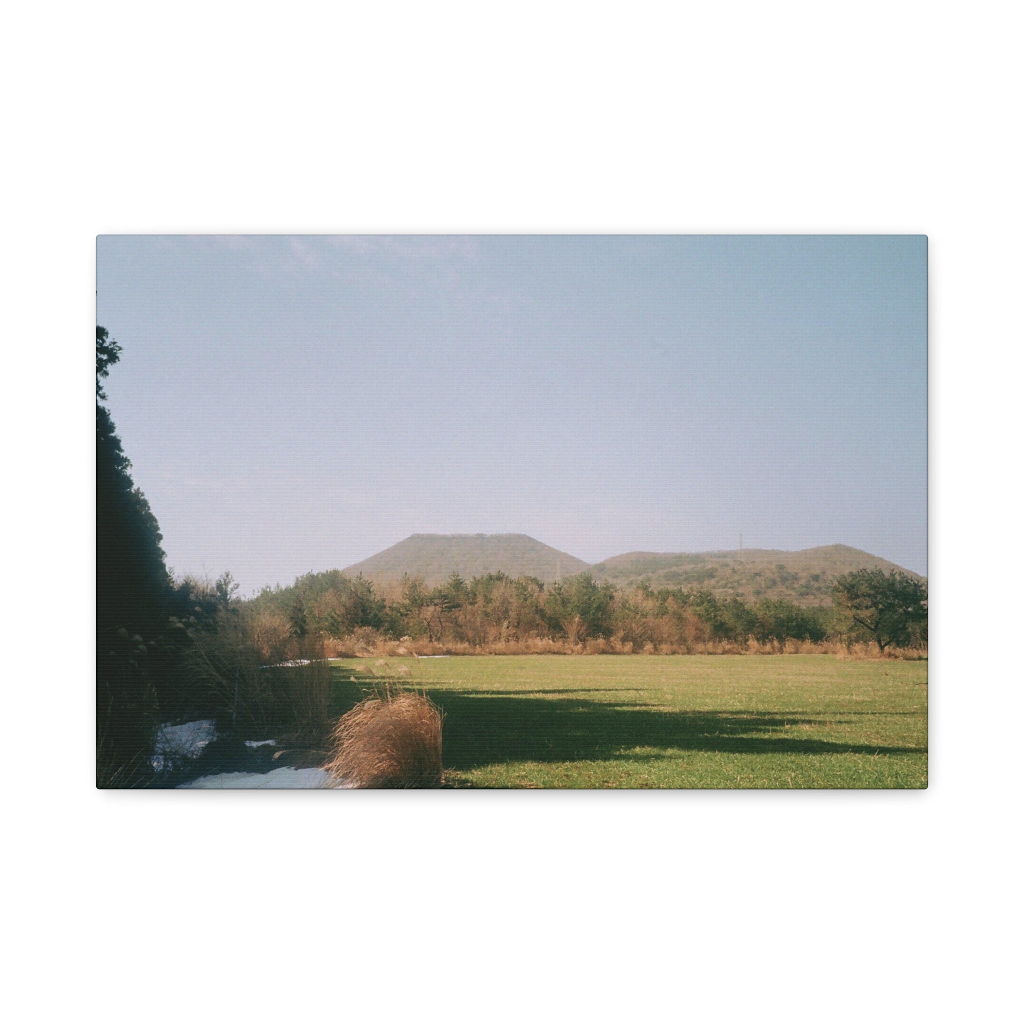 Jeju Winter Oreum Canvas Print — Stretched Matte Wall Art (Field & Forest)