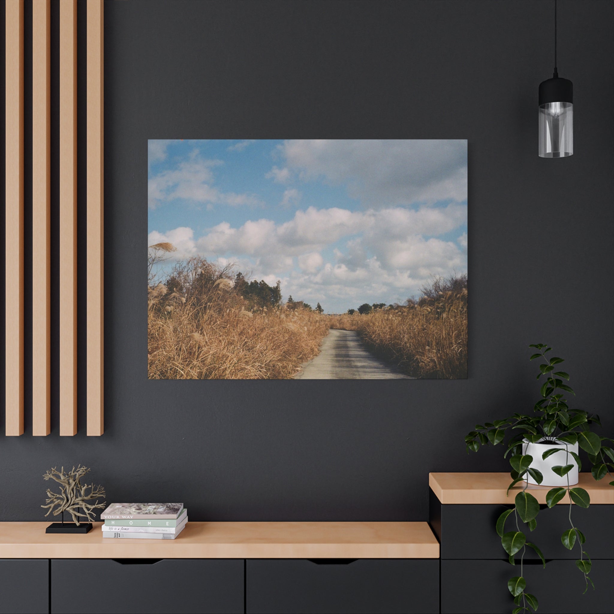 Jeju Gotjawal Winter Silver Grass Canvas Print