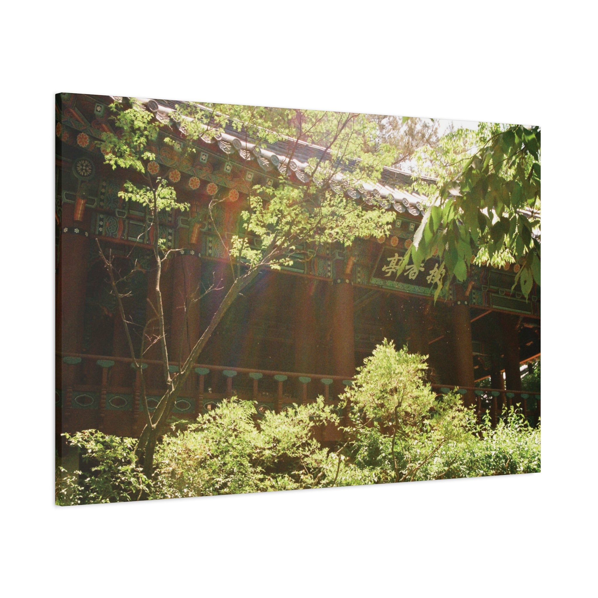 Korean Hanok Spring Sunshine Canvas Print