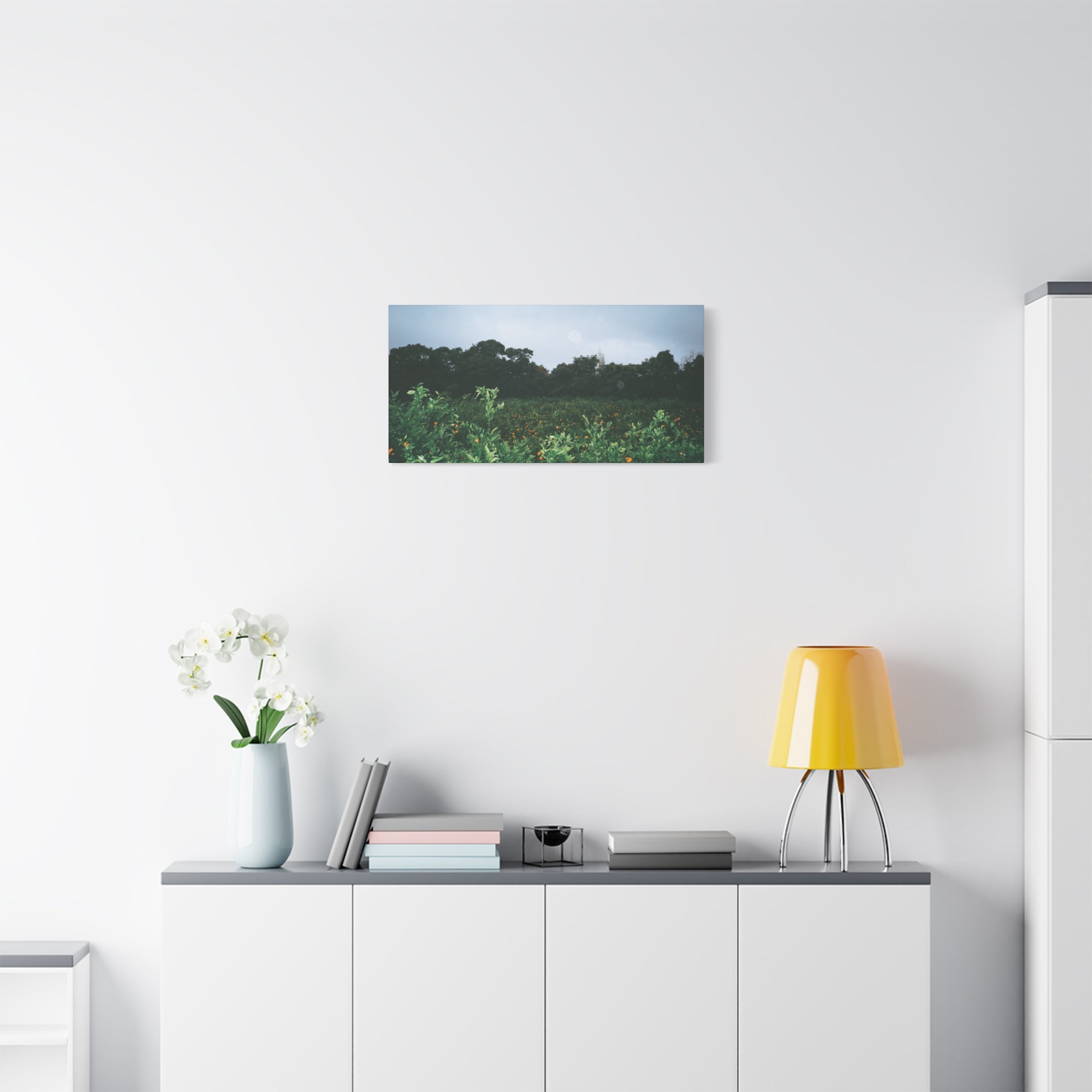 Jeju Winter Snowy Tangerine Orchard Canvas Print