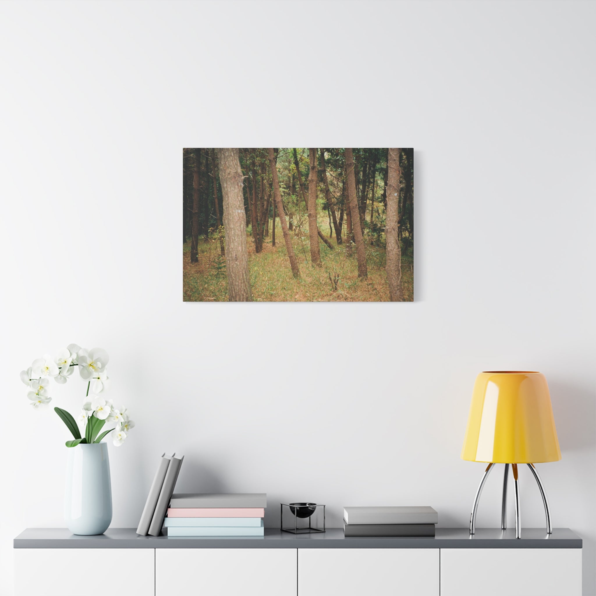 Jeju Gungdae Oreum Forest Canvas Print