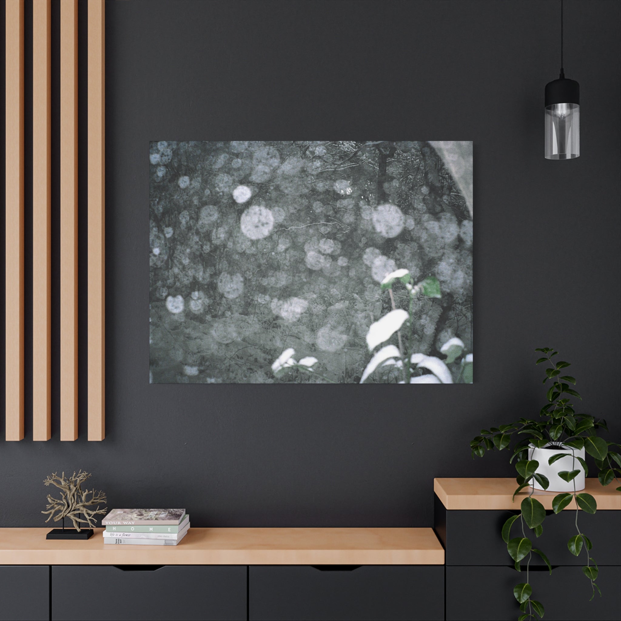 Jeju Snowy Gotjawal Forest Canvas Print