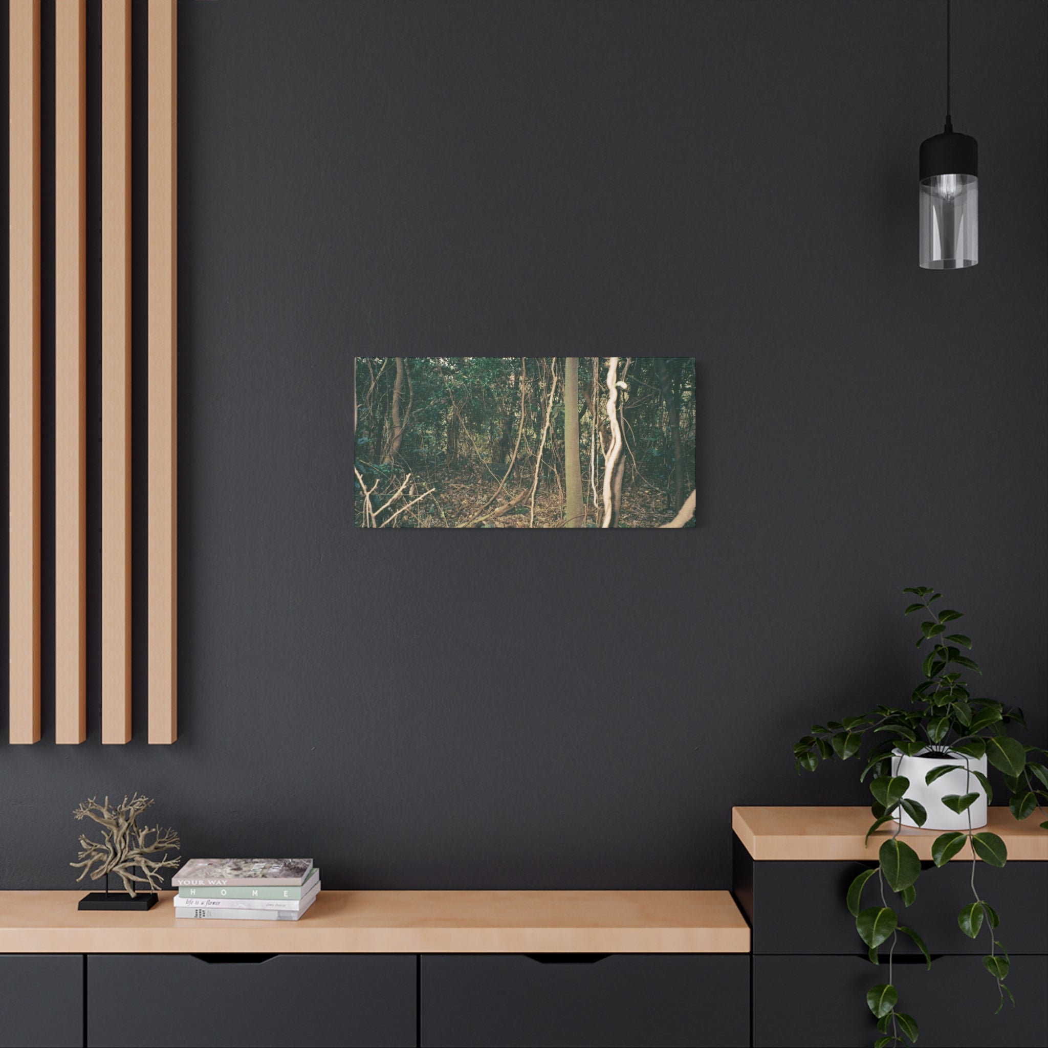 Jeju Gotjawal Forest Canvas Print