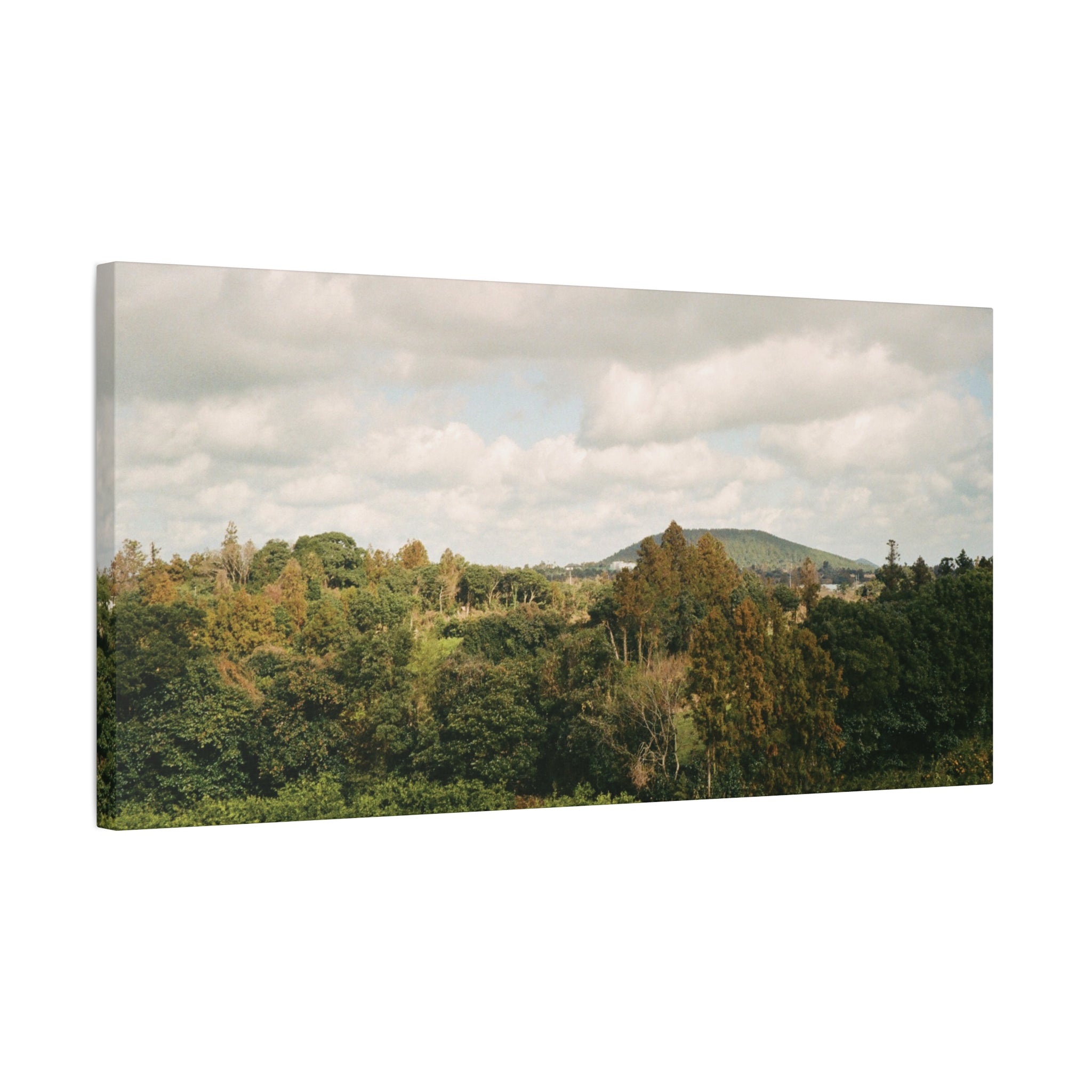 Jeju Wind-Swept Oreum and Clouds Canvas Print