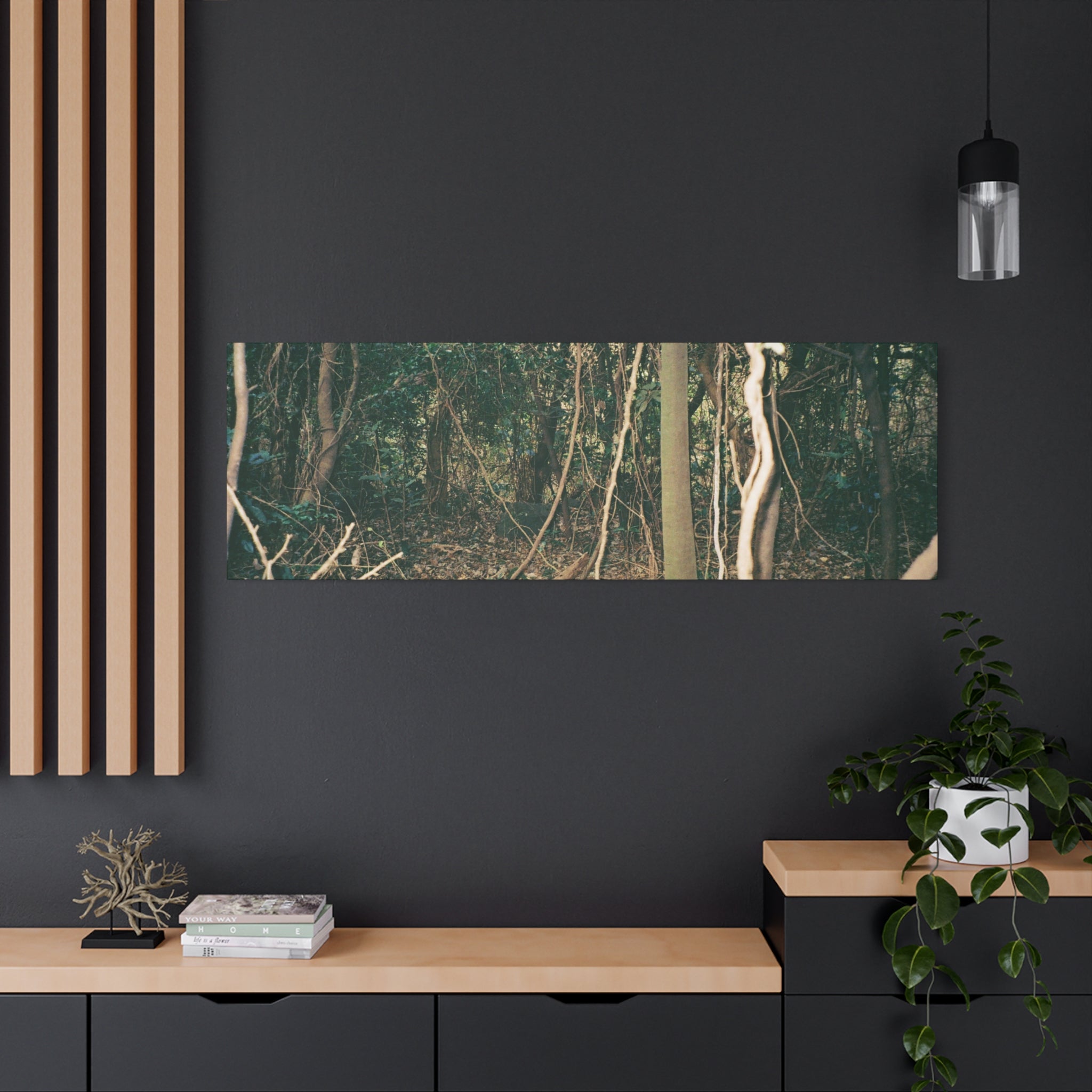 Jeju Gotjawal Forest Canvas Print