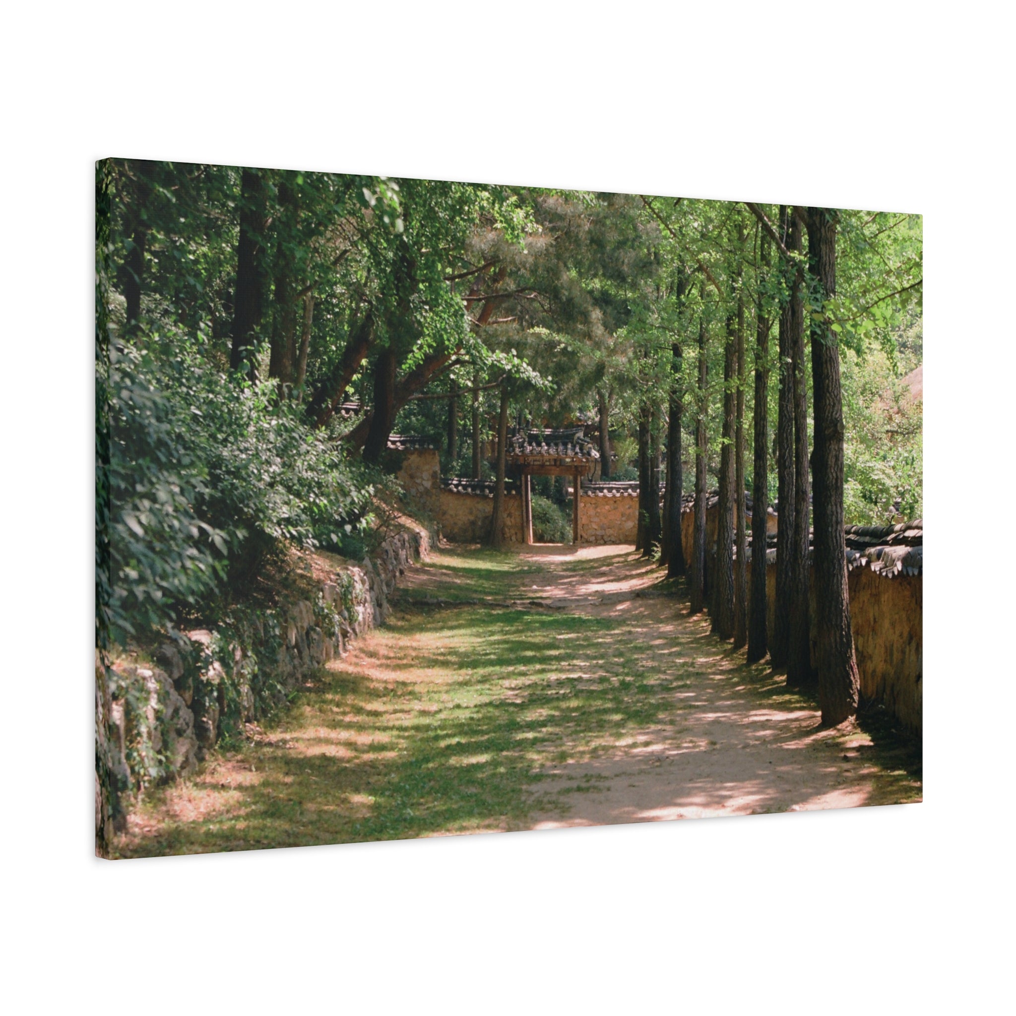 Korean Yongin Folk Village Hanok Lane Canvas Print