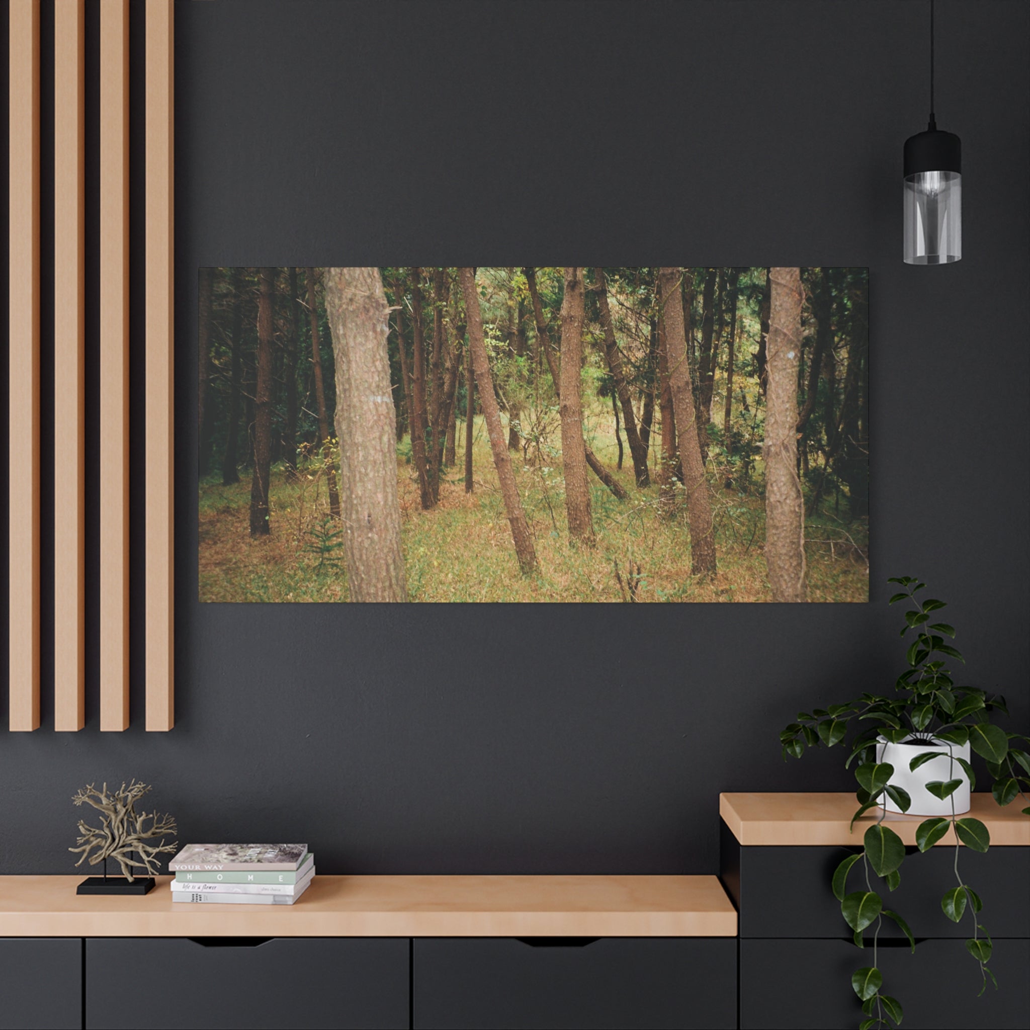 Jeju Gungdae Oreum Forest Canvas Print