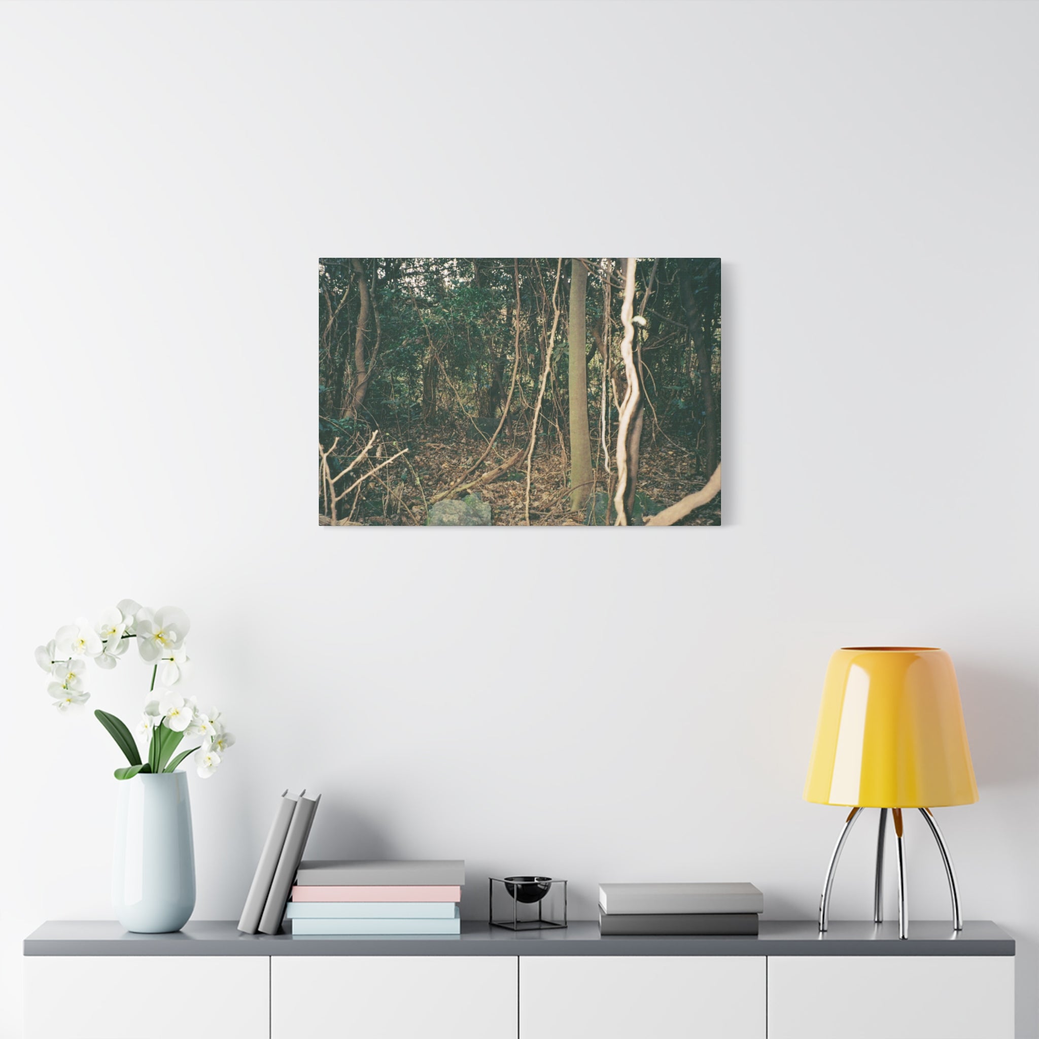 Jeju Gotjawal Forest Canvas Print