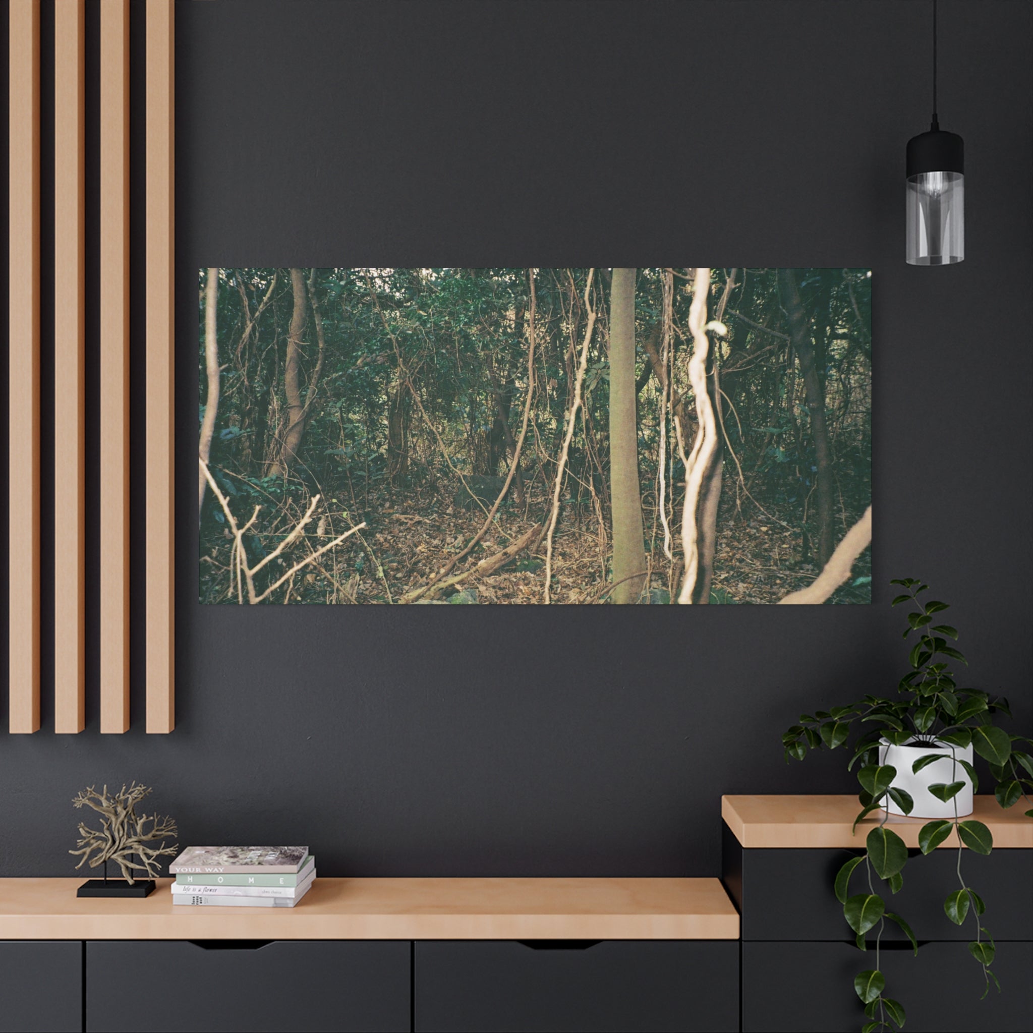 Jeju Gotjawal Forest Canvas Print