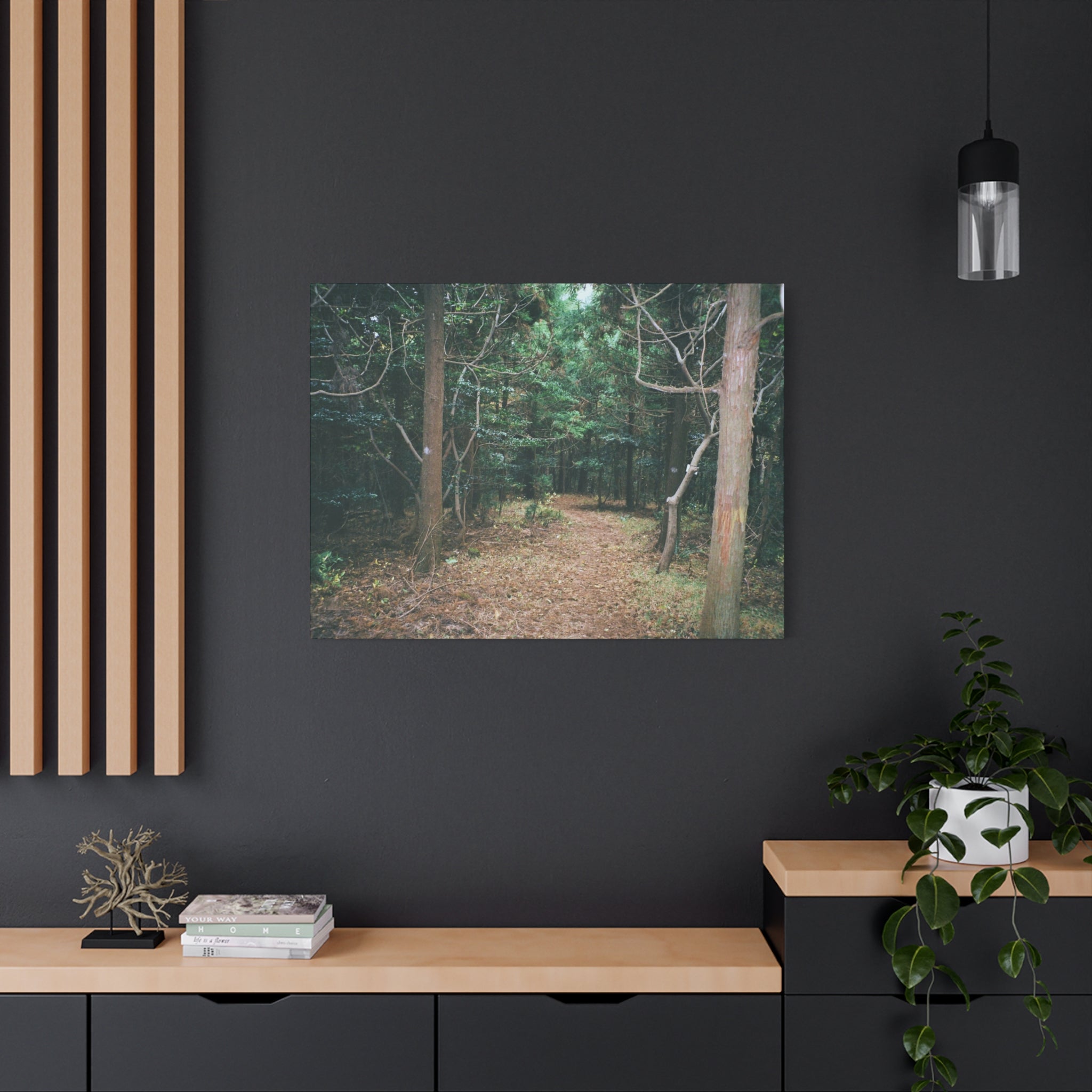 Jeju Winter Oreum Forest Canvas Print
