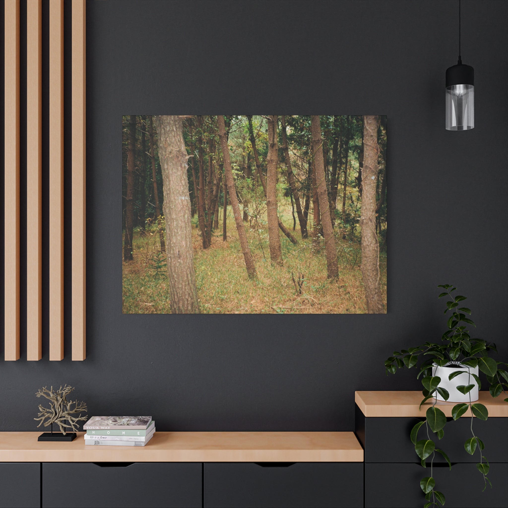 Jeju Gungdae Oreum Forest Canvas Print