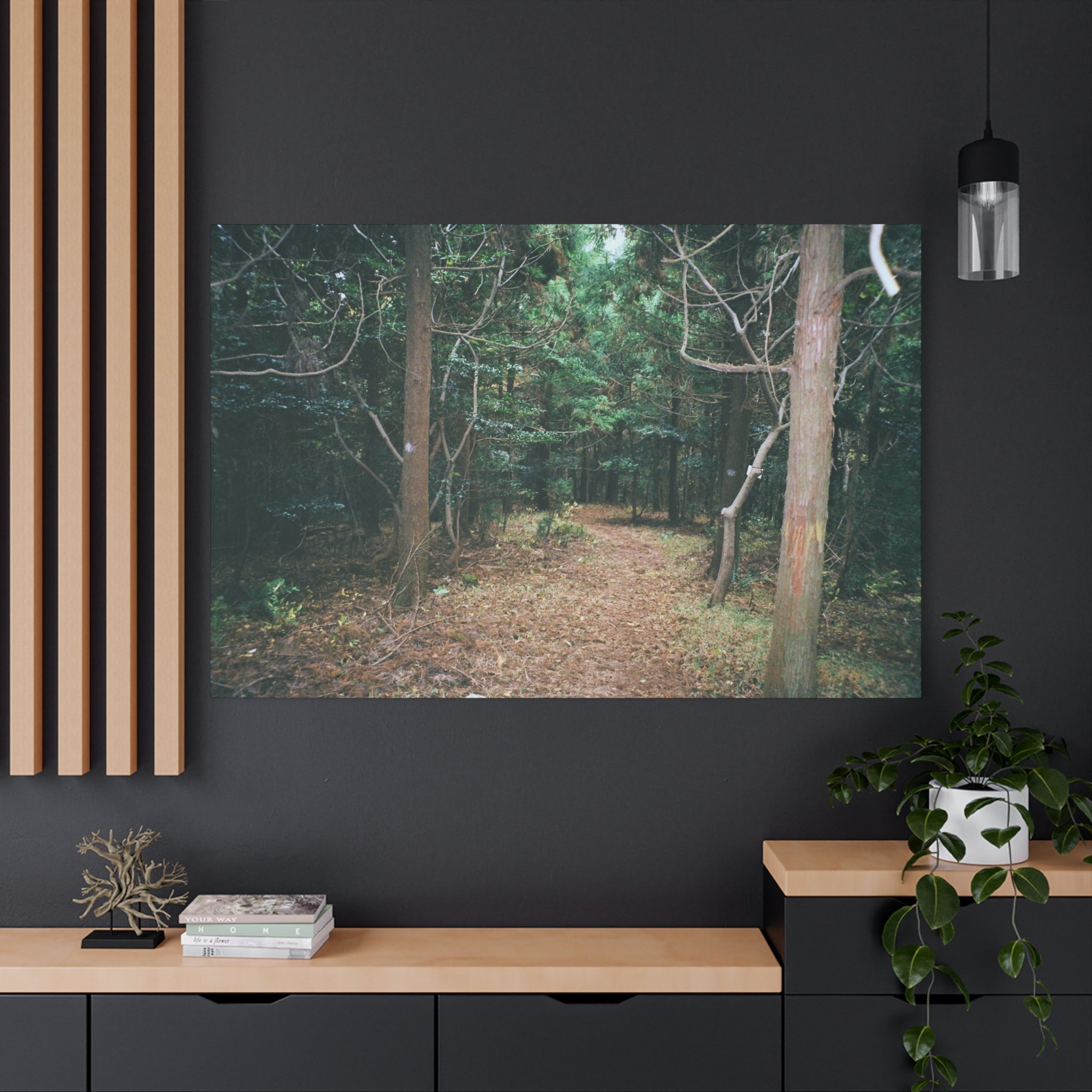 Jeju Winter Oreum Forest Canvas Print