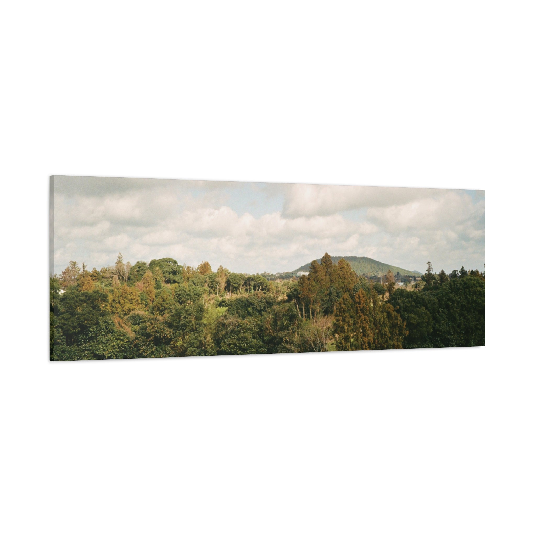 Jeju Wind-Swept Oreum and Clouds Canvas Print