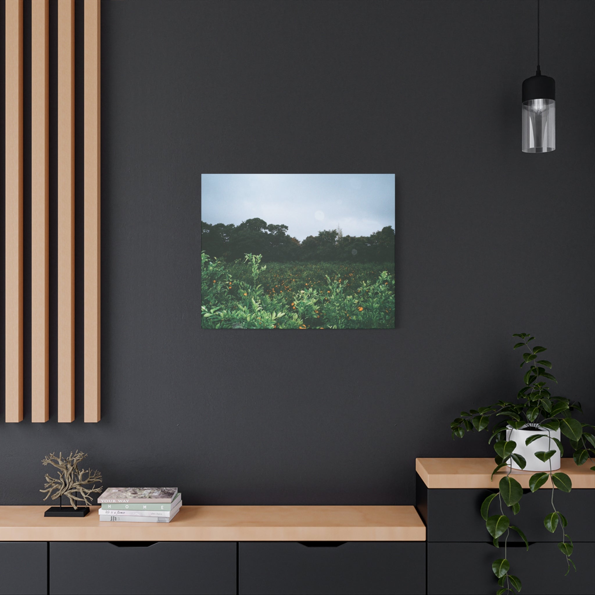 Jeju Winter Snowy Tangerine Orchard Canvas Print