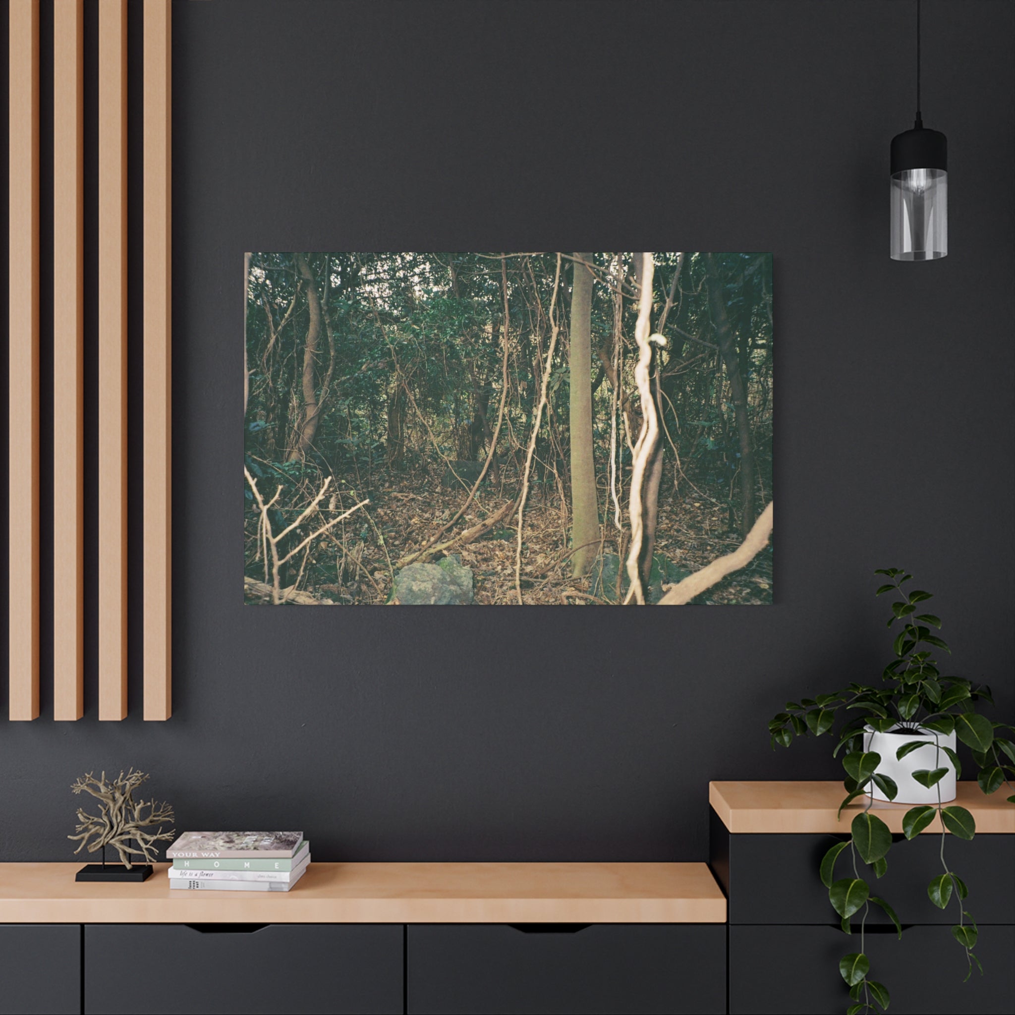 Jeju Gotjawal Forest Canvas Print