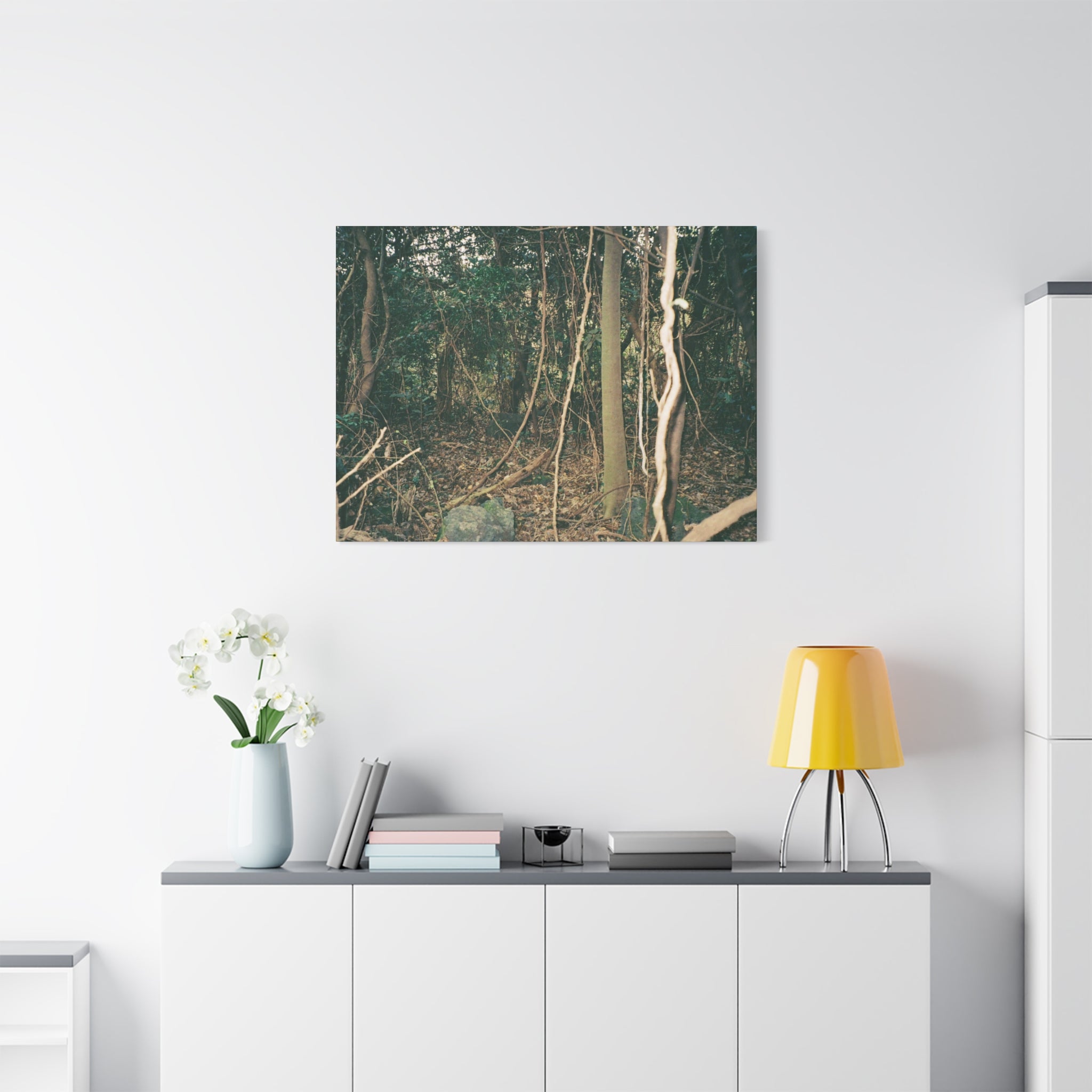 Jeju Gotjawal Forest Canvas Print