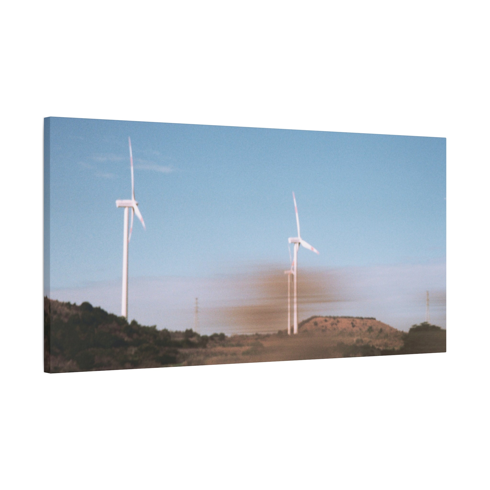 Jeju Winter Silver Grass Canvas Print