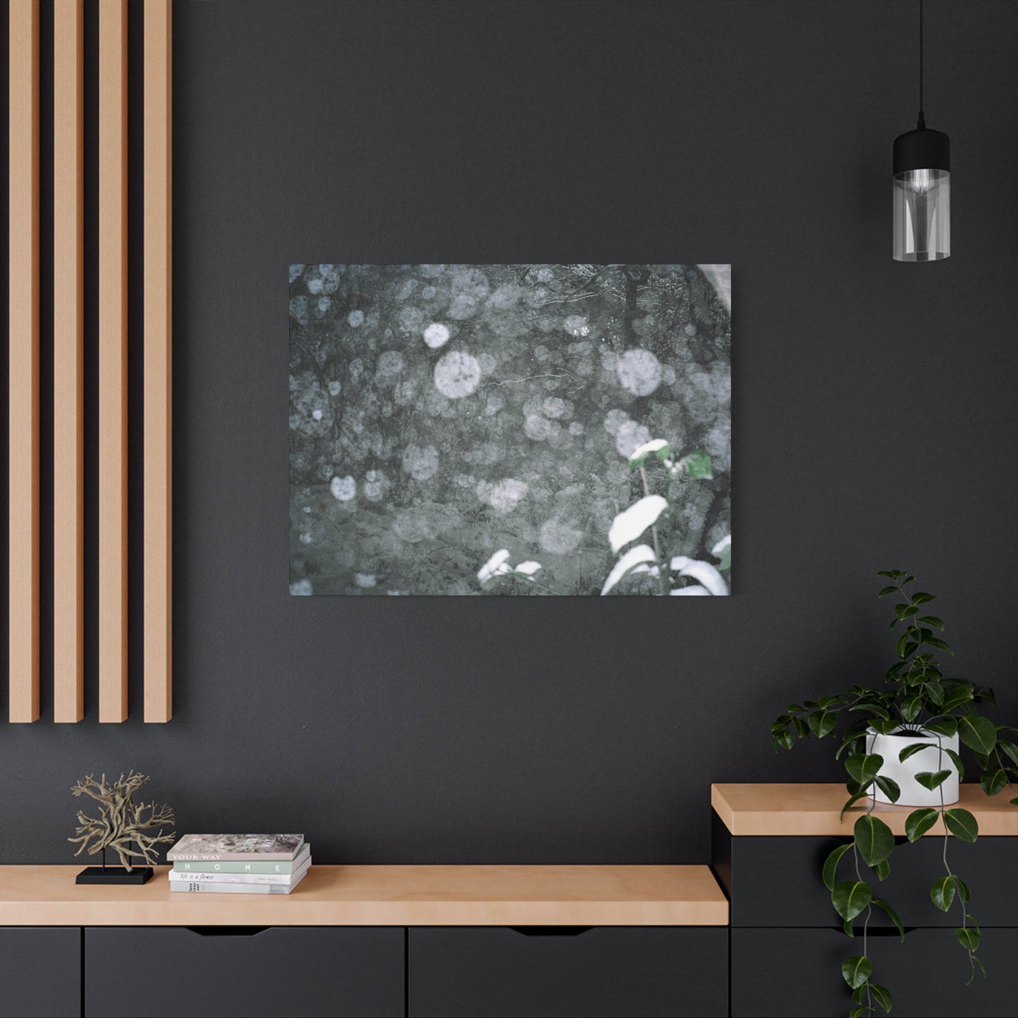 Jeju Snowy Gotjawal Forest Canvas Print