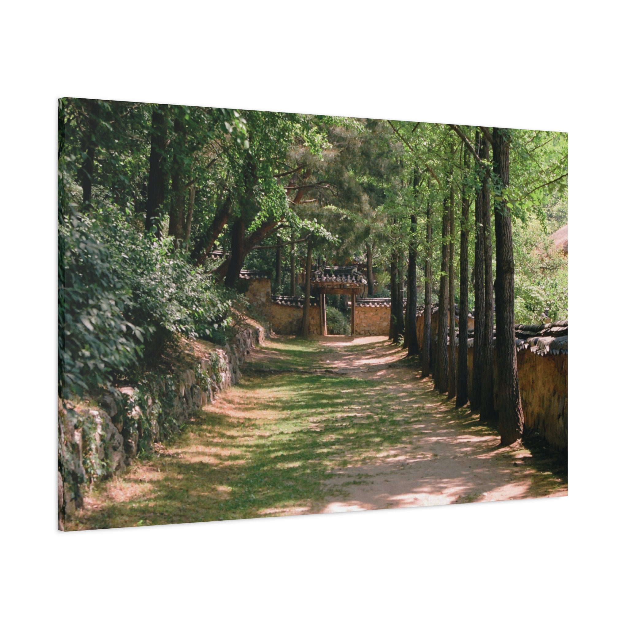 Korean Yongin Folk Village Hanok Lane Canvas Print