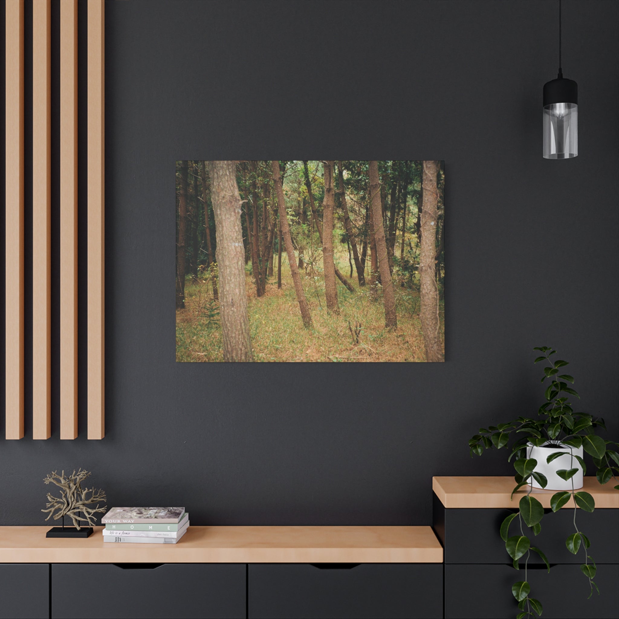 Jeju Gungdae Oreum Forest Canvas Print