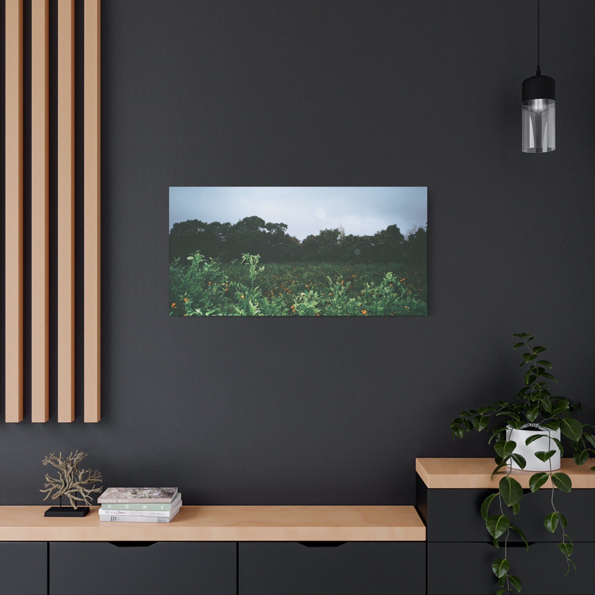 Jeju Winter Snowy Tangerine Orchard Canvas Print