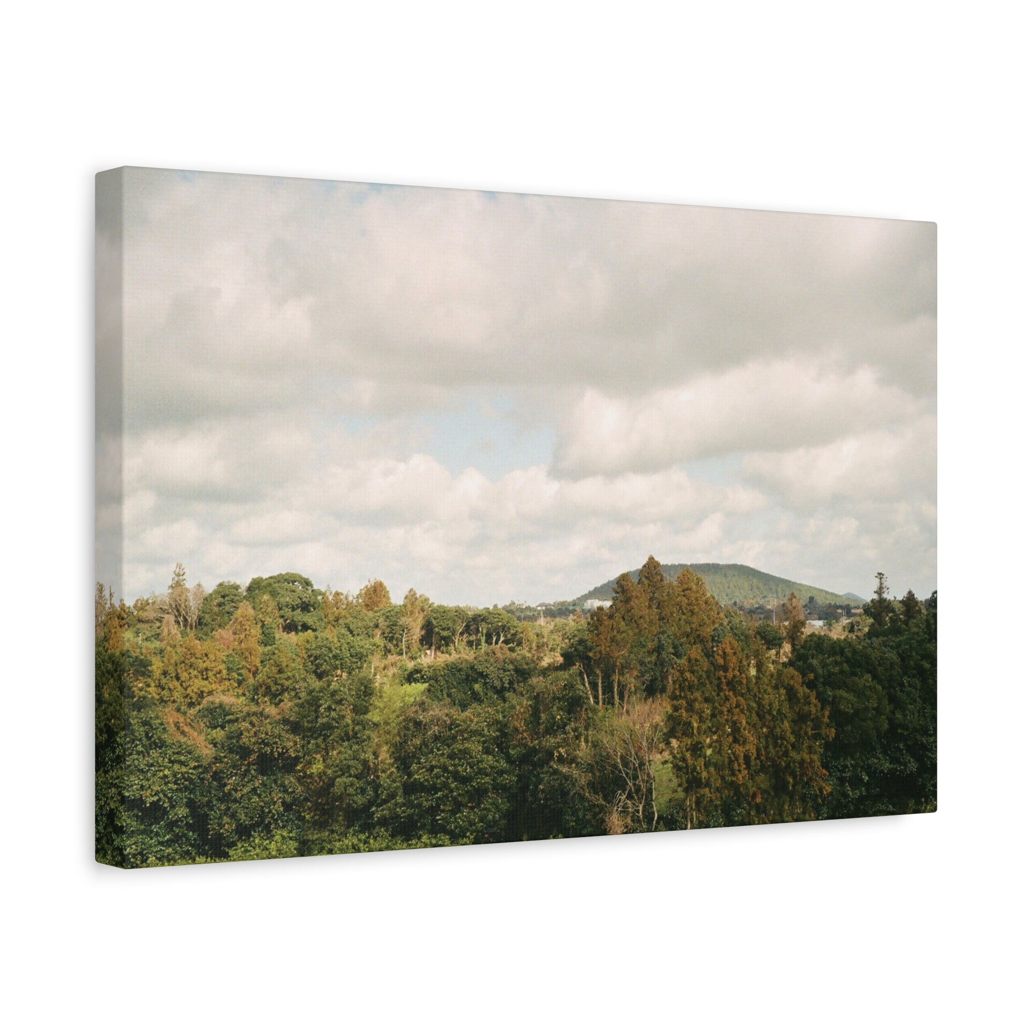 Jeju Wind-Swept Oreum and Clouds Canvas Print — Matte Stretched Canvas